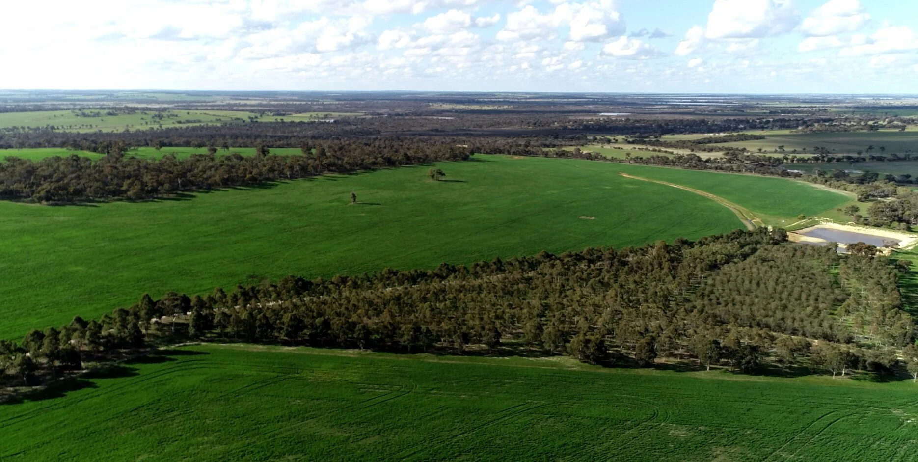 Terlinga property aerial view