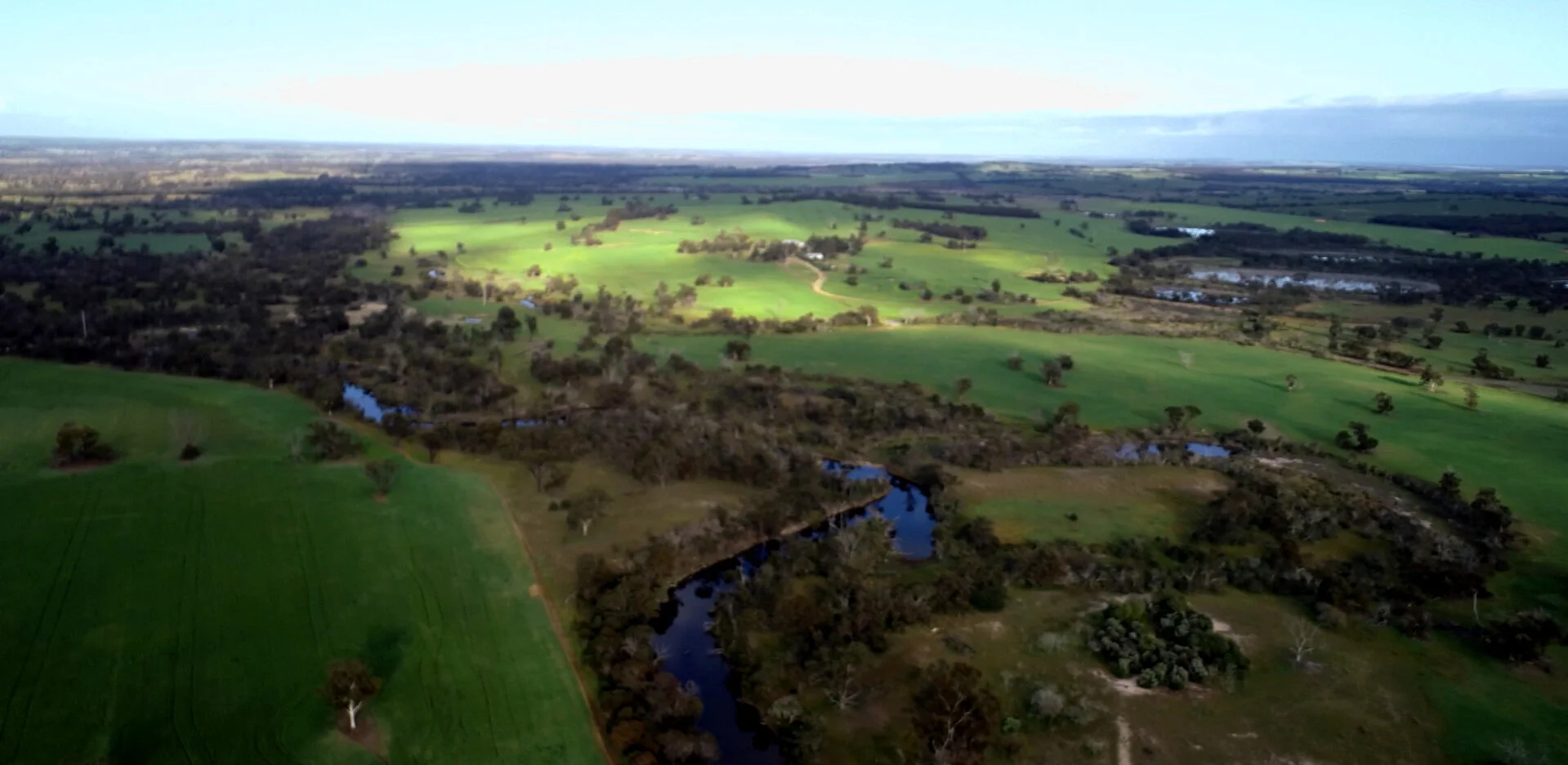 Terlinga grain paddocks