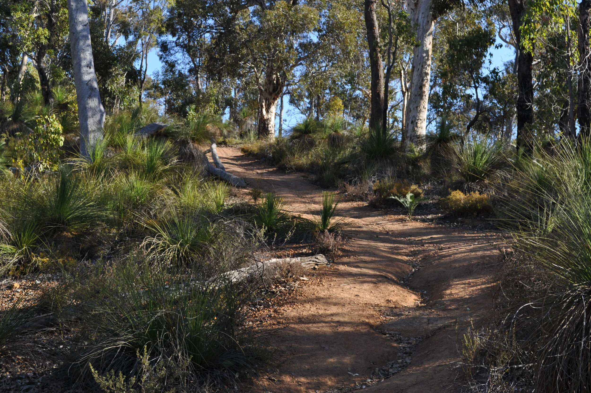 Copy of DSC_0234.JPG