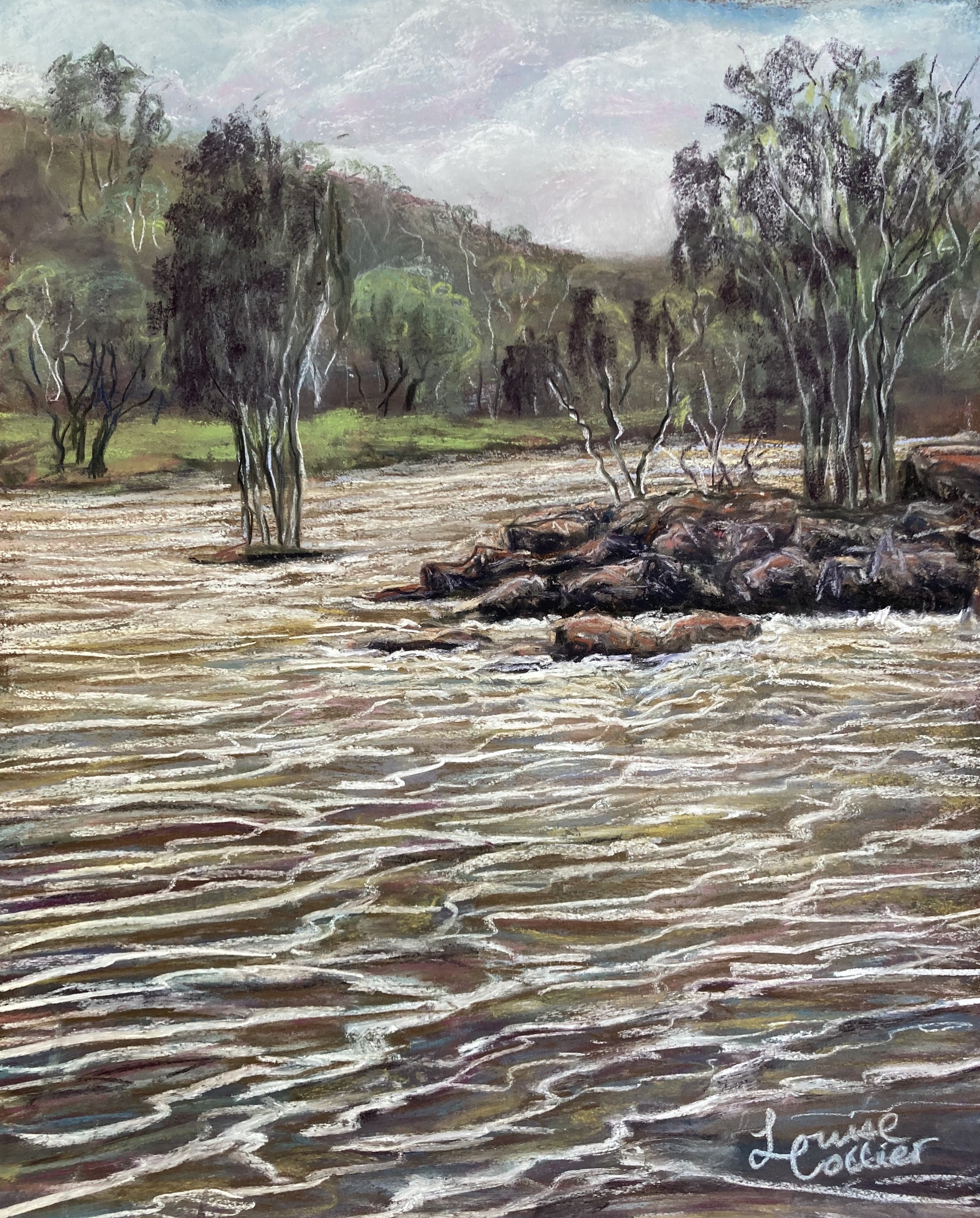 Louise Collier_Lower Bells Rapids in flood_pastels on paper_$450.jpg