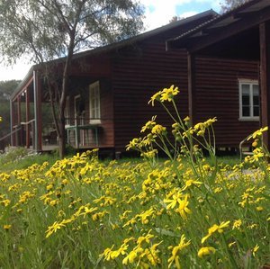 Settlers+cottage+with+flowers.jpeg