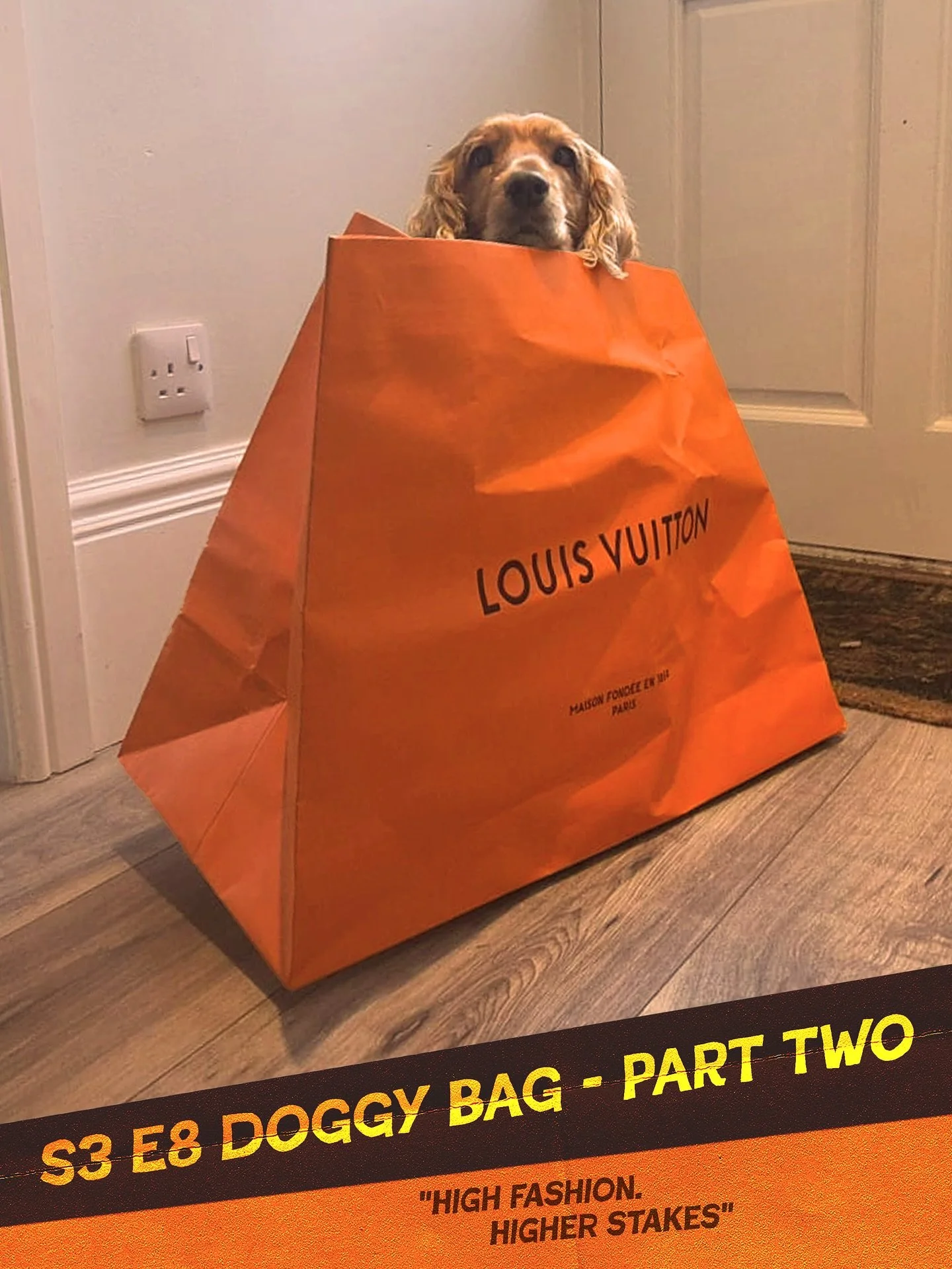 Joao/John, a beloved canine, reportedly died suddenly on the Champs-Élysées. RIP. His body was placed inside a large Louis Vuitton shopper bag, and, in a cruel twist of fate, stolen moments later by a thief on a moped.
The circumstance