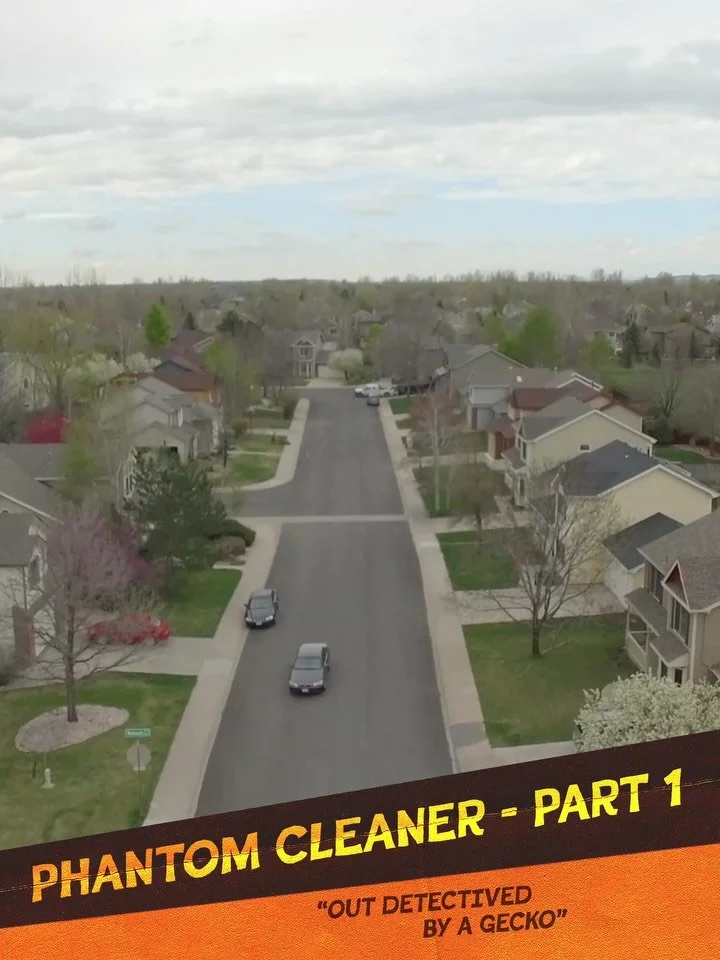 Imagine coming home and discovering that someone has broken into your home&hellip; and cleaned it.

Now imagine investigating this crime and realising your only witness, your only shot at answers, is a gecko.

A tiny gecko who goes by the name Persep