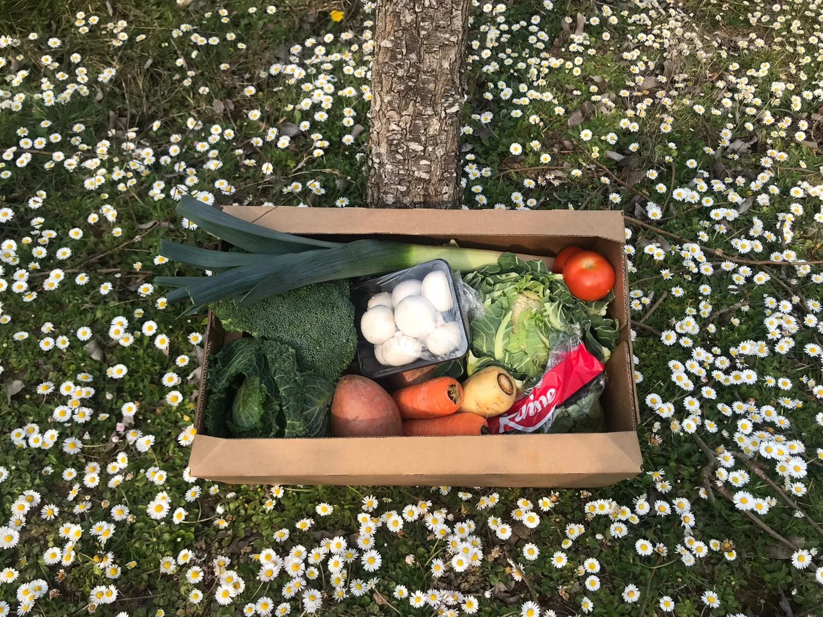 The Cotswold Veg Box Company
