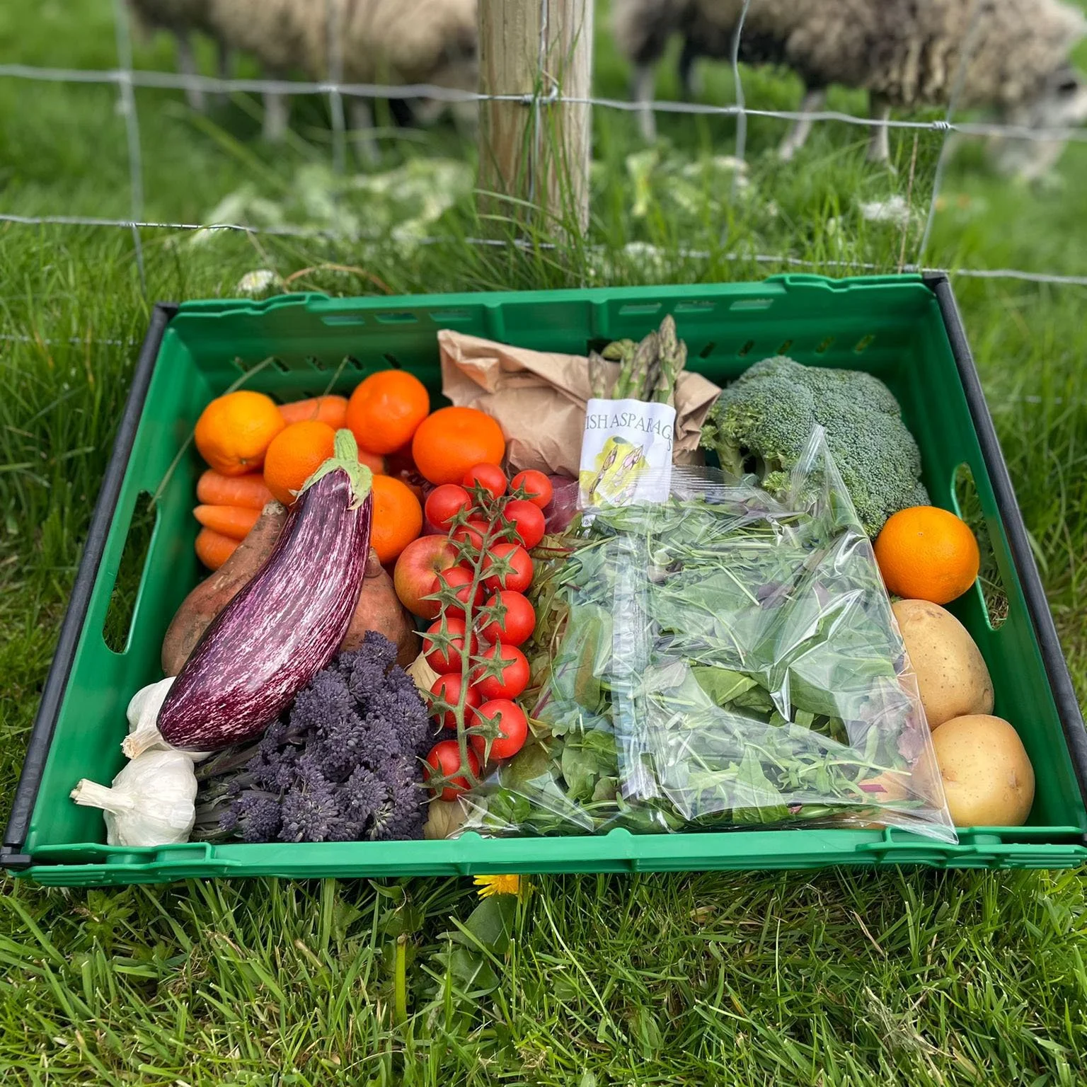 Fruit and Veg Boxes Delivered The Cotswold Veg Box Company