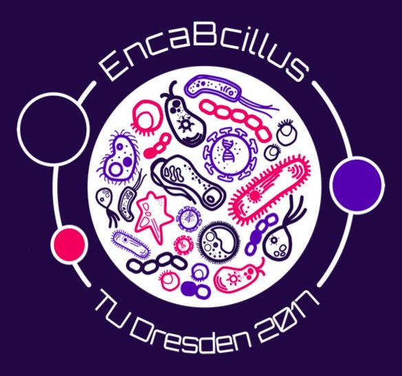 Encabcillus.jpg