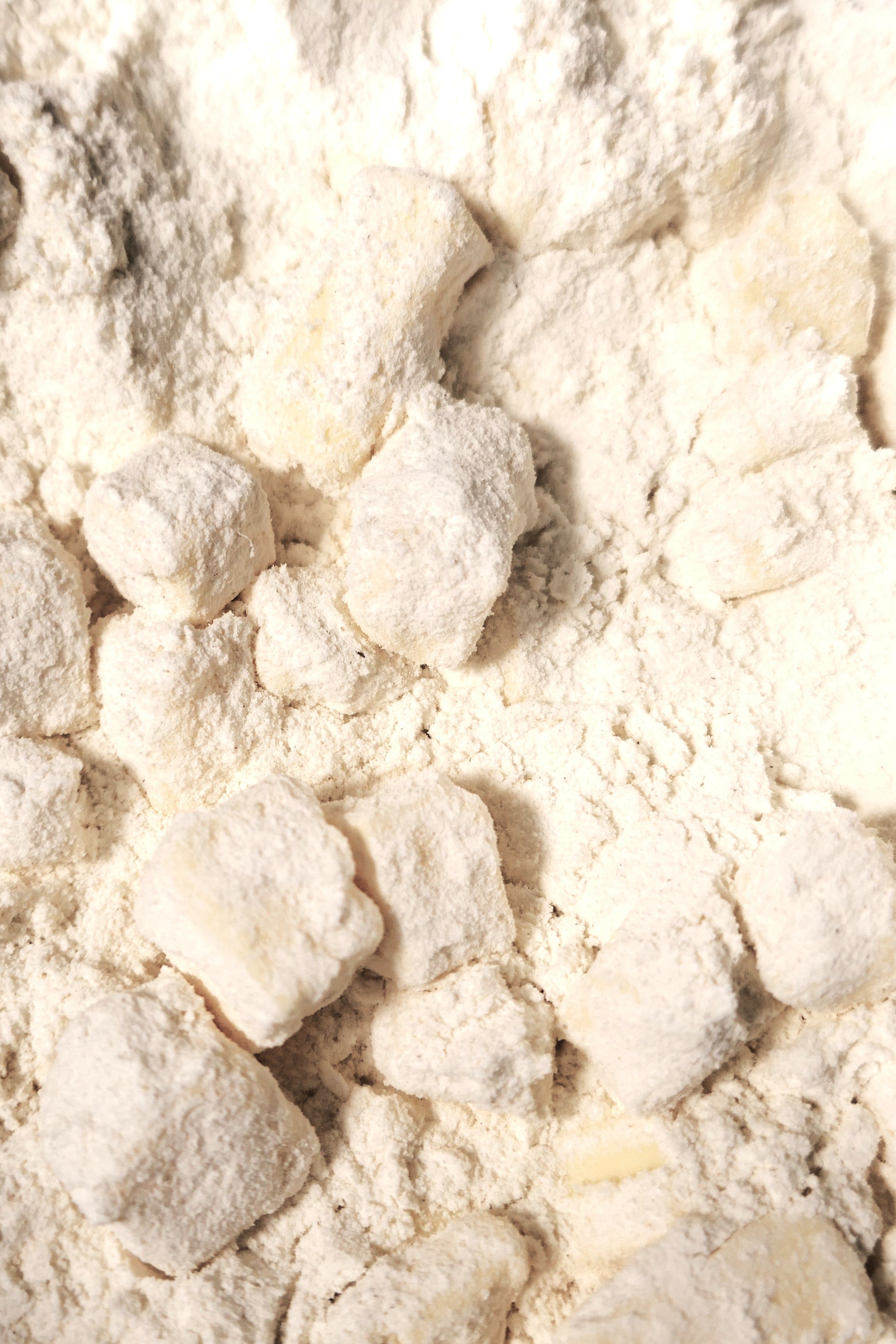 1.JPG