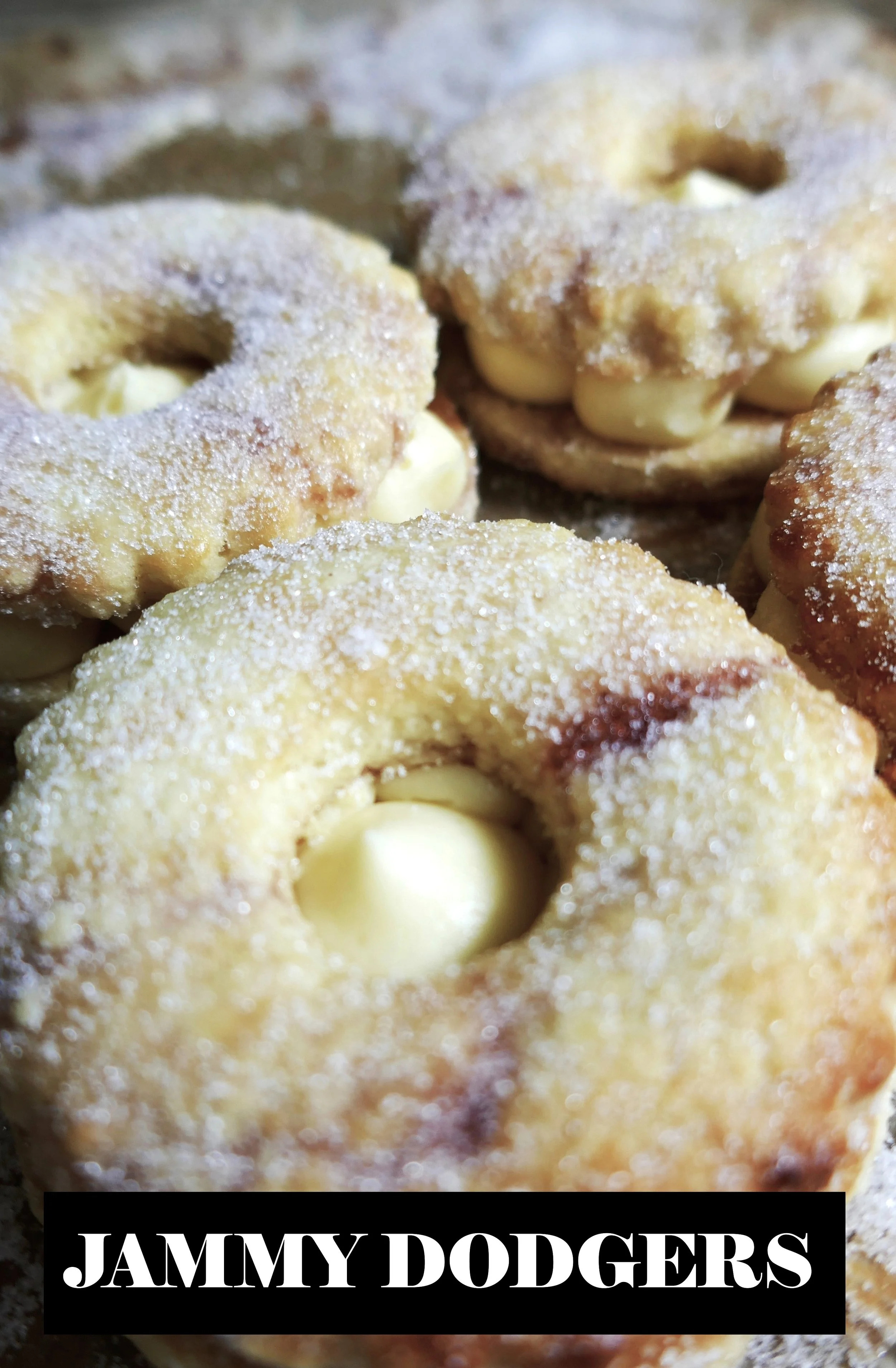 Jammy Dodger.JPG