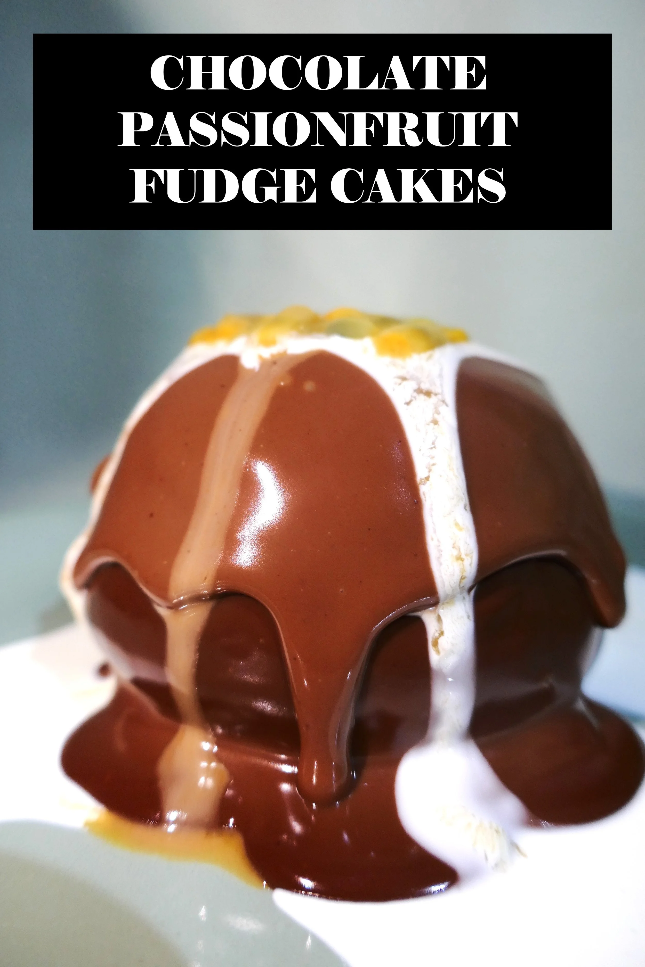 Fudge Cakes .JPG