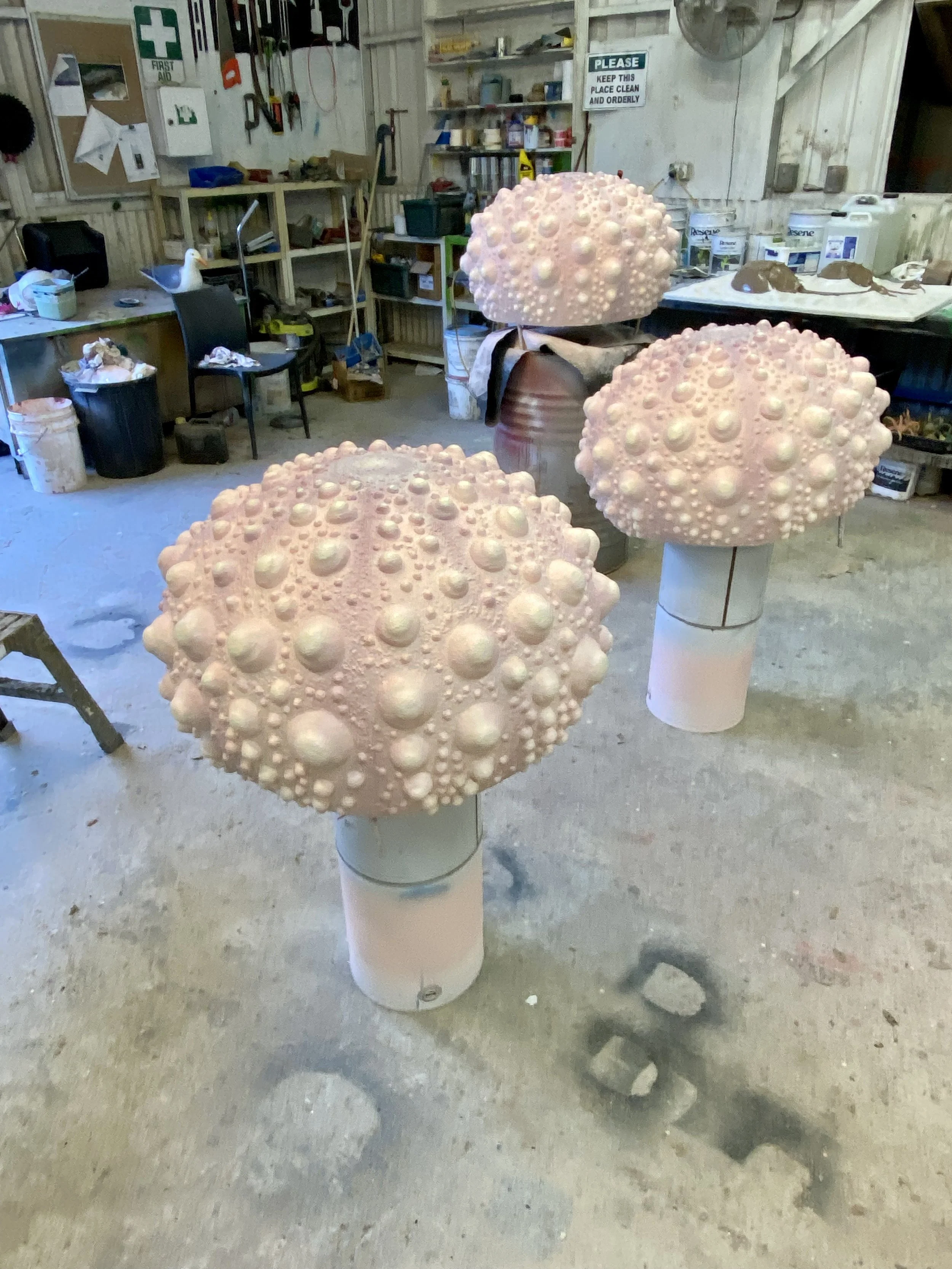 Shells painted by Matt Smidt at Natureworks Australia