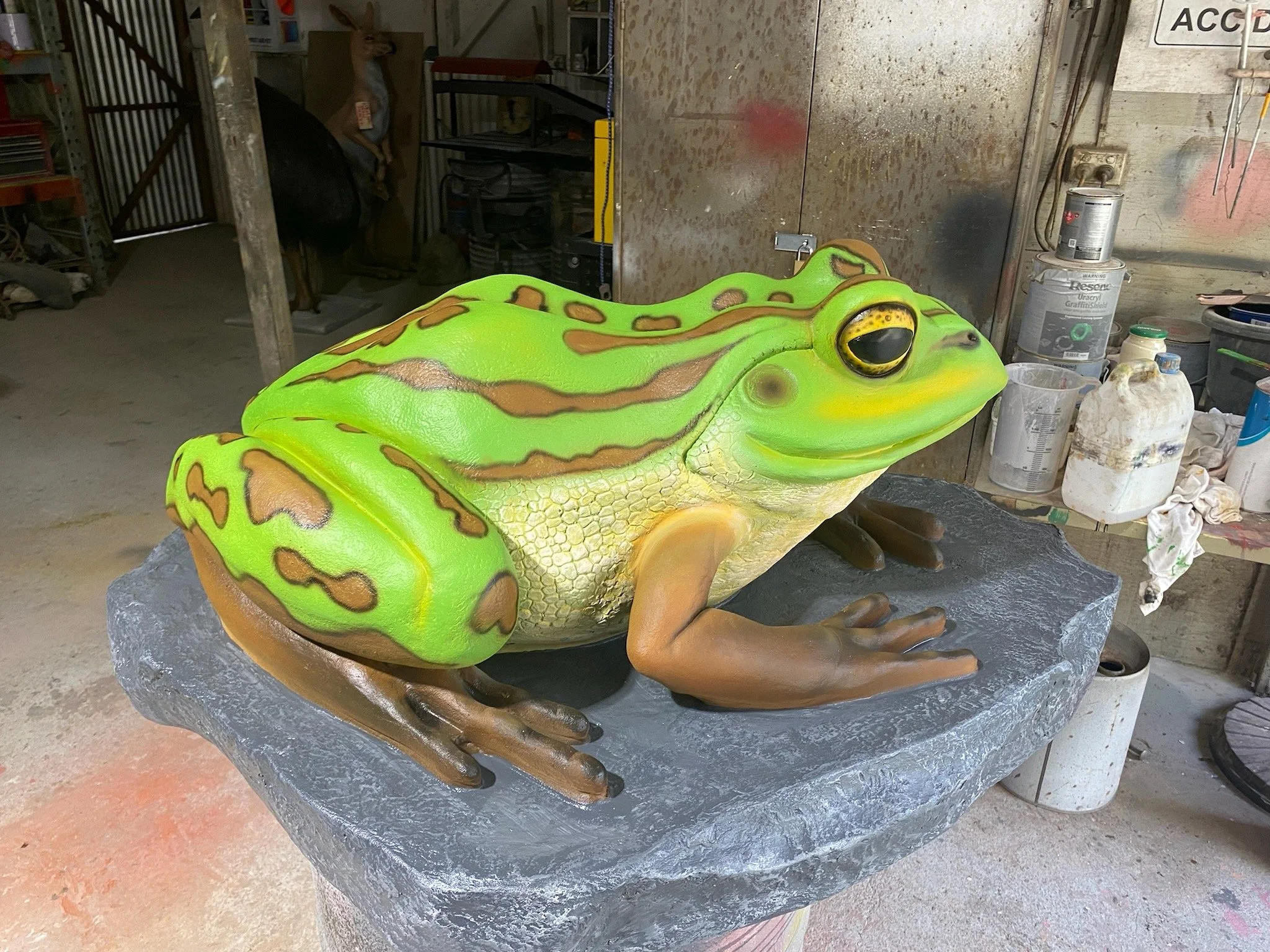 Green Frog painted by Matt Smidt at Natureworks Australia