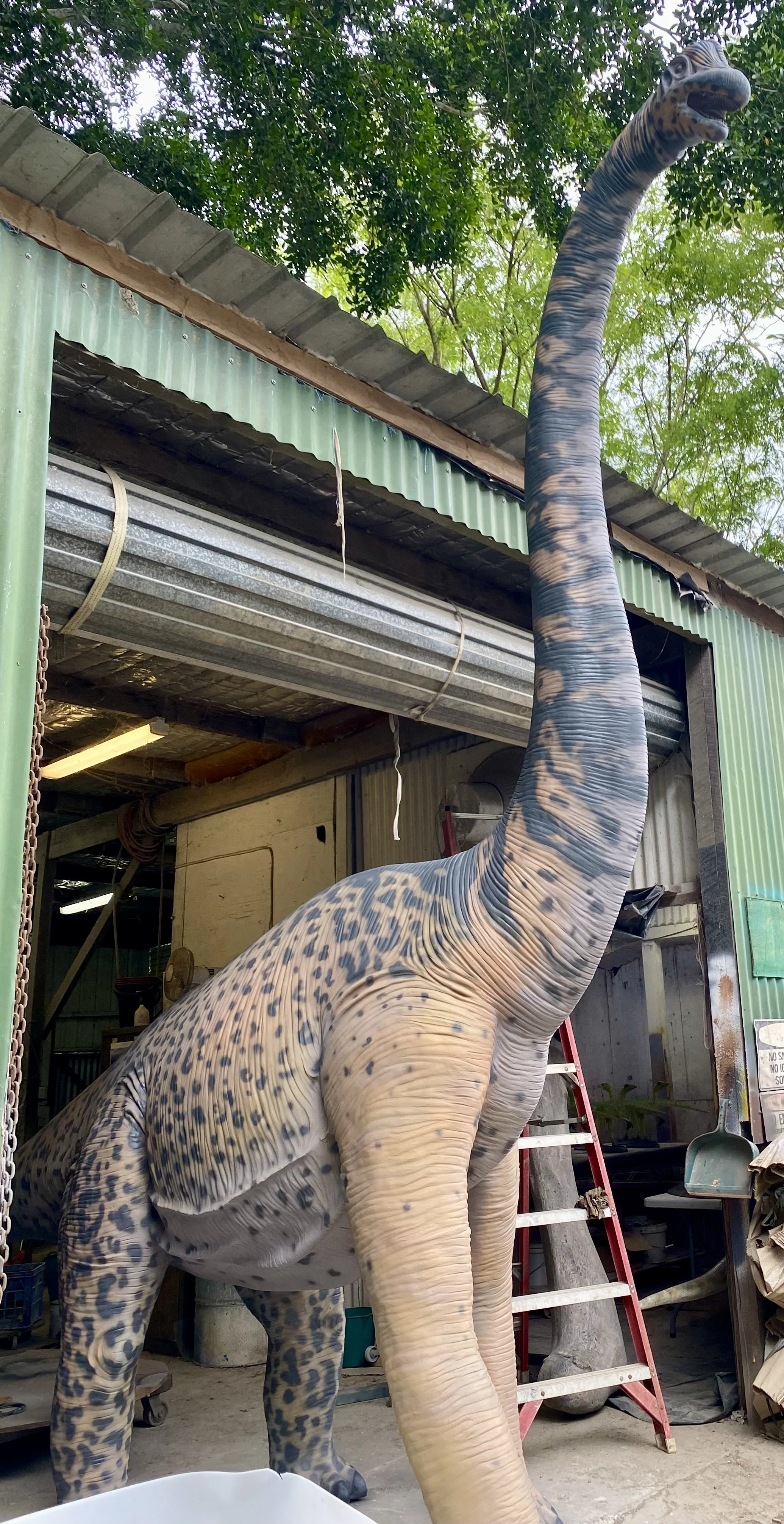 Dinosaur painted by Matt Smidt at Natureworks Australia