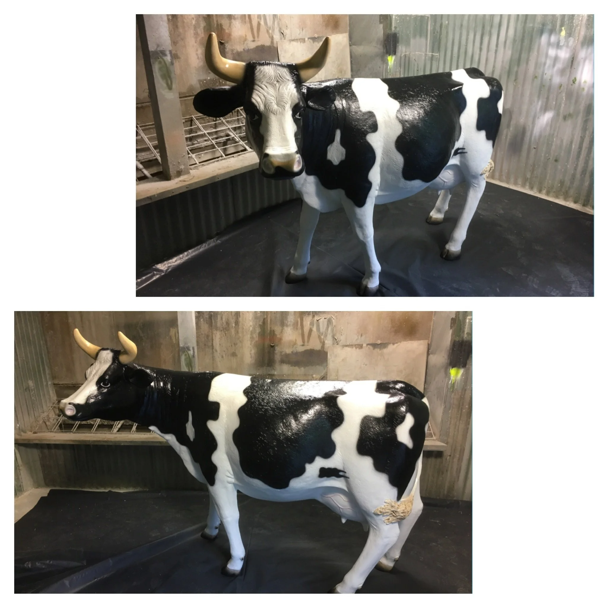 Cows painted by Matt Smidt at Natureworks Australia