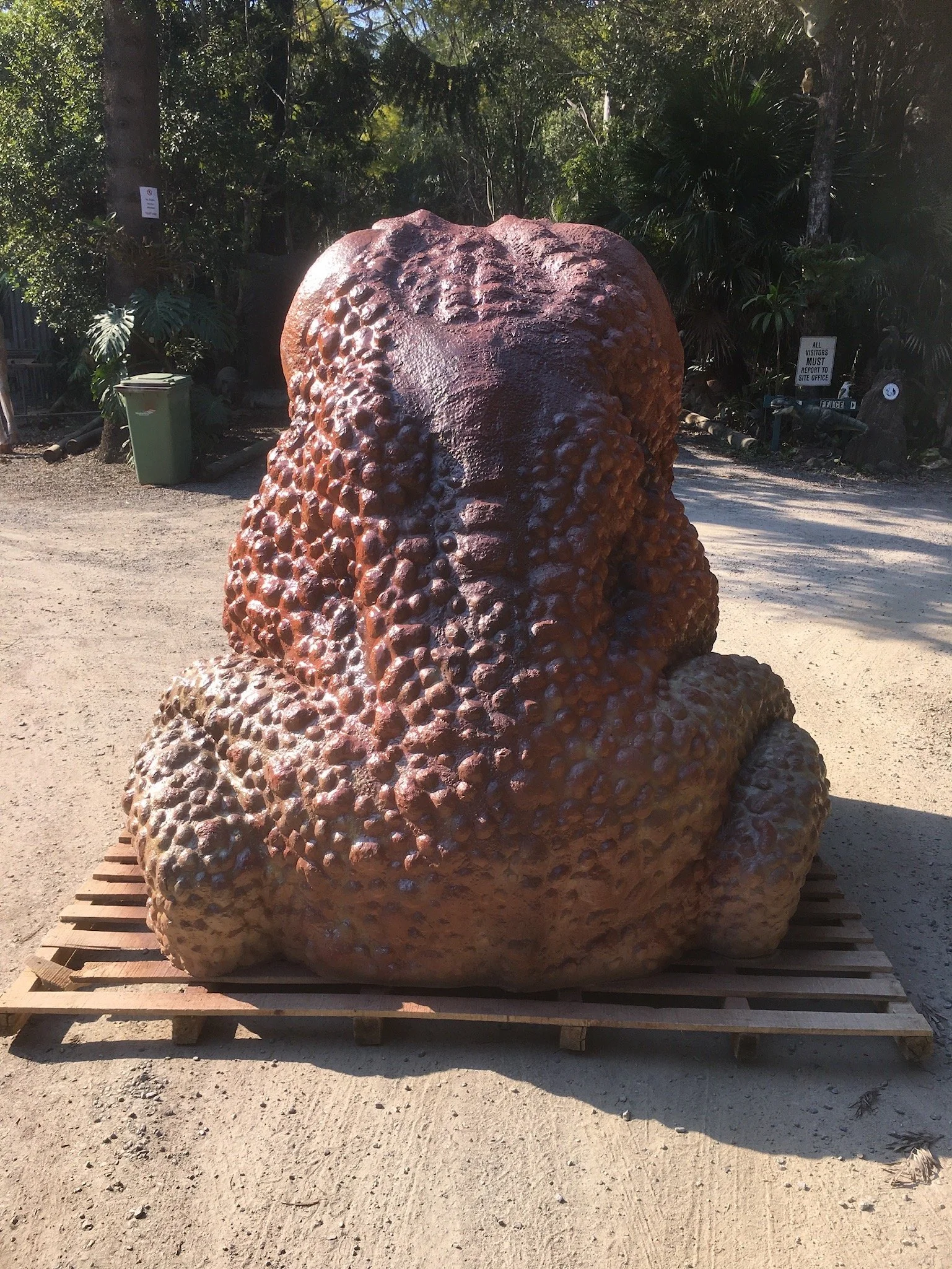 Cane Toad painted by Matt Smidt at Natureworks Australia