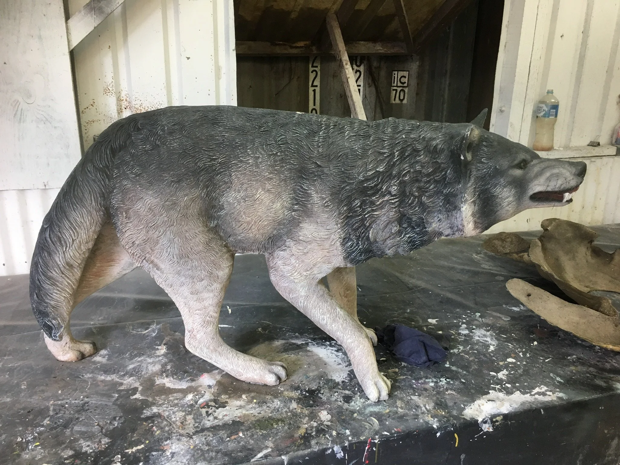 wolf painted by Matt Smidt at Natureworks Australia