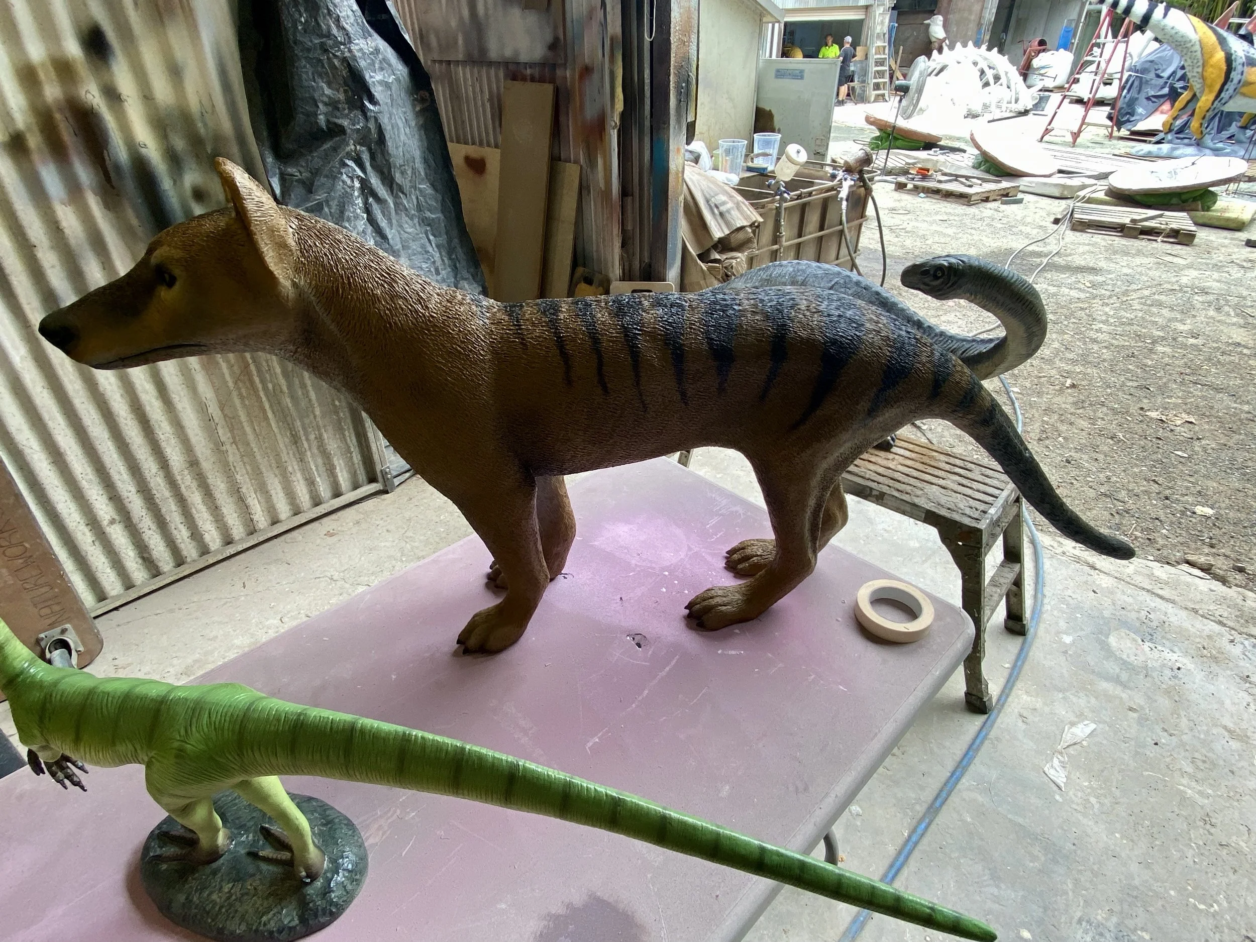 Tasmanian Devil painted by Matt Smidt at Natureworks Australia