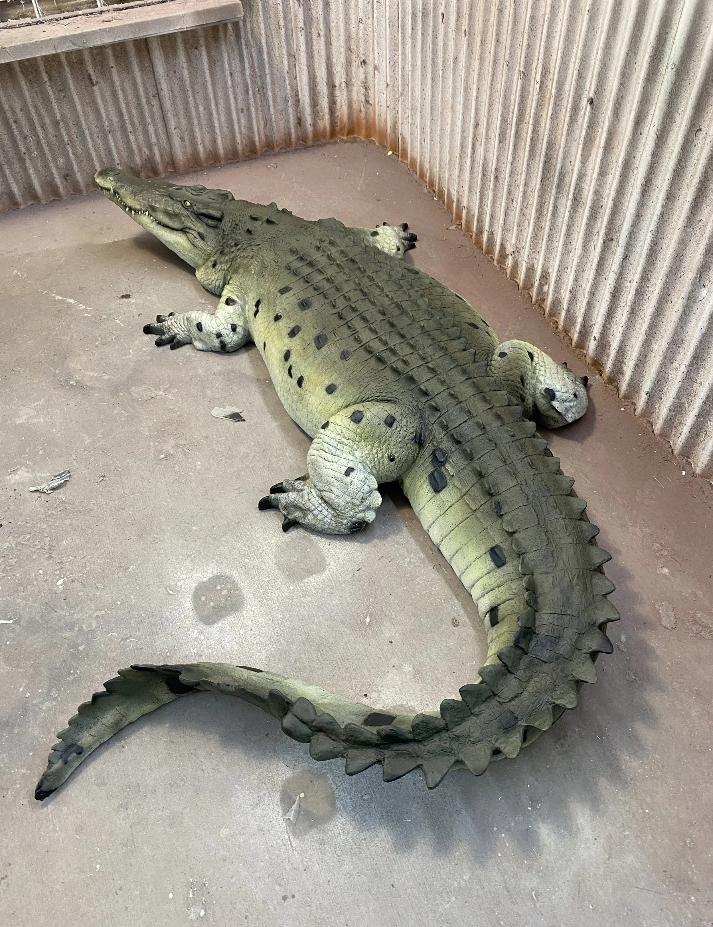 Crocodile painted by Matt Smidt at Natureworks Australia
