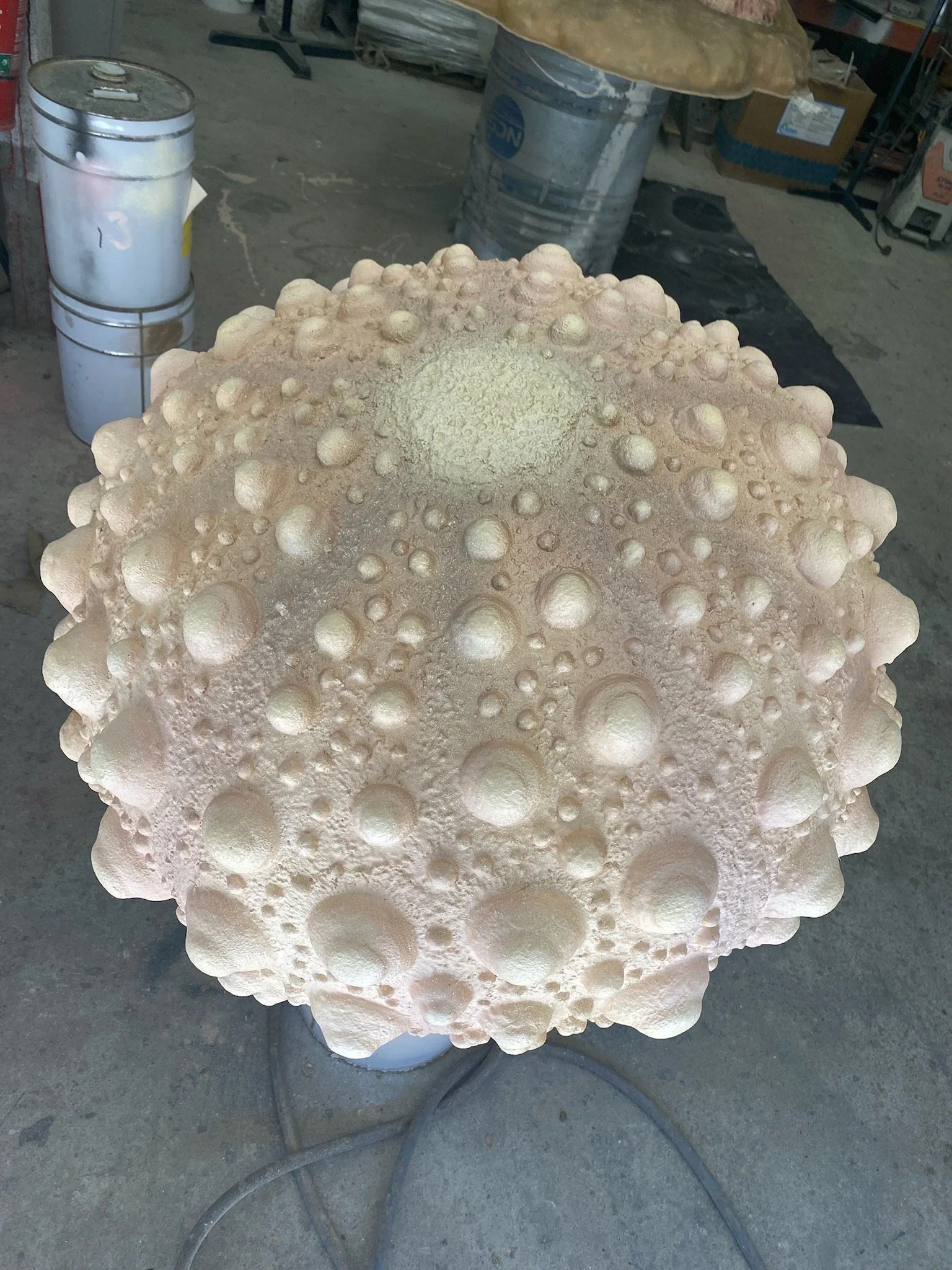 Shells painted by Matt Smidt at Natureworks Australia