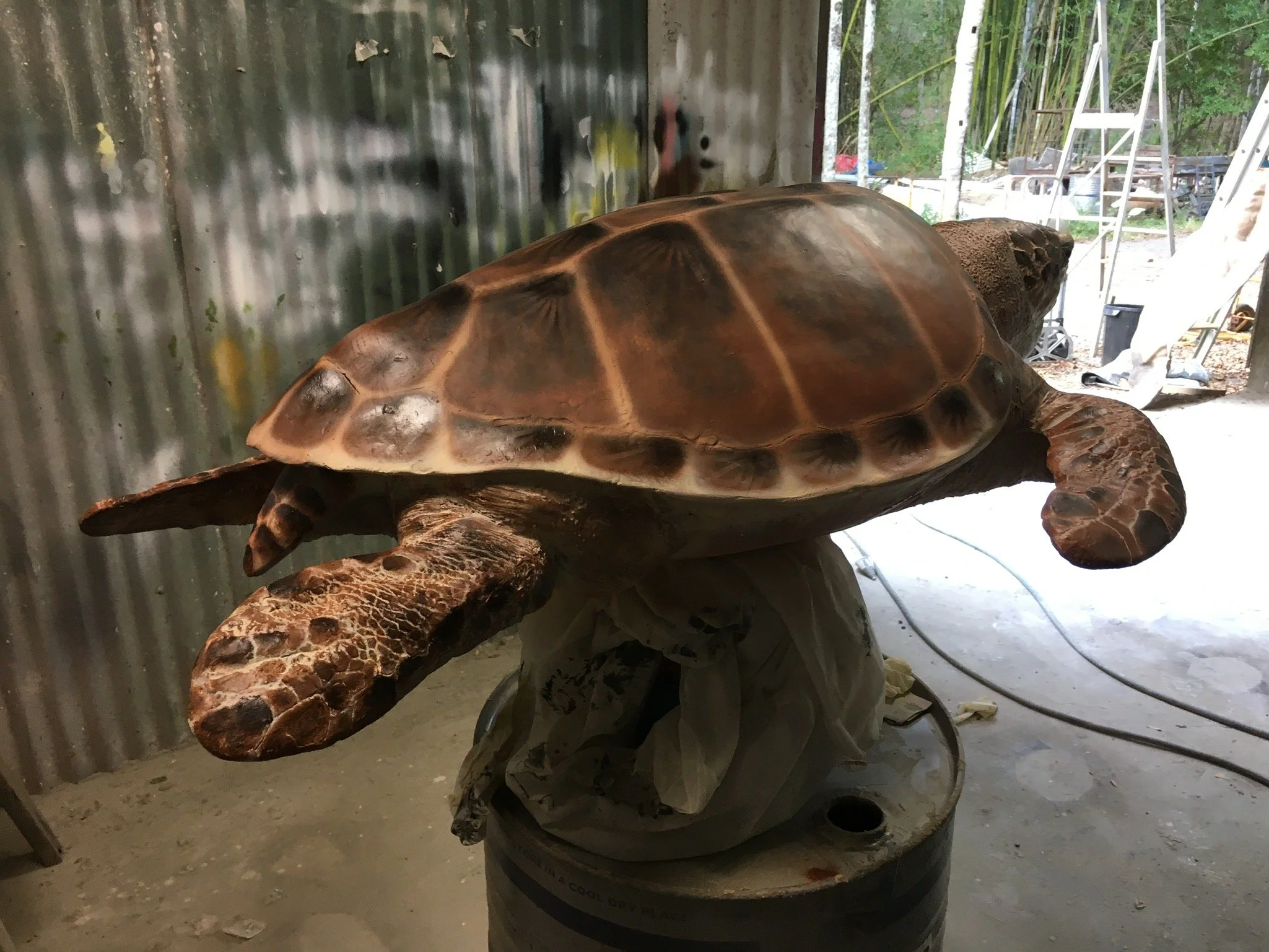 Turtle painted by Matt Smidt at Natureworks Australia