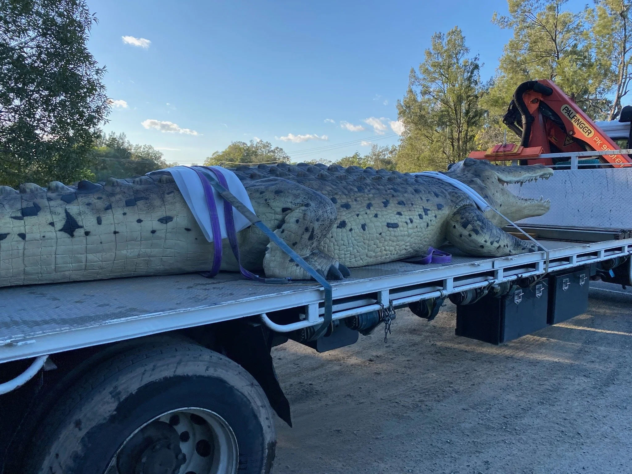 Crocodile painted by Matt Smidt at Natureworks Australia