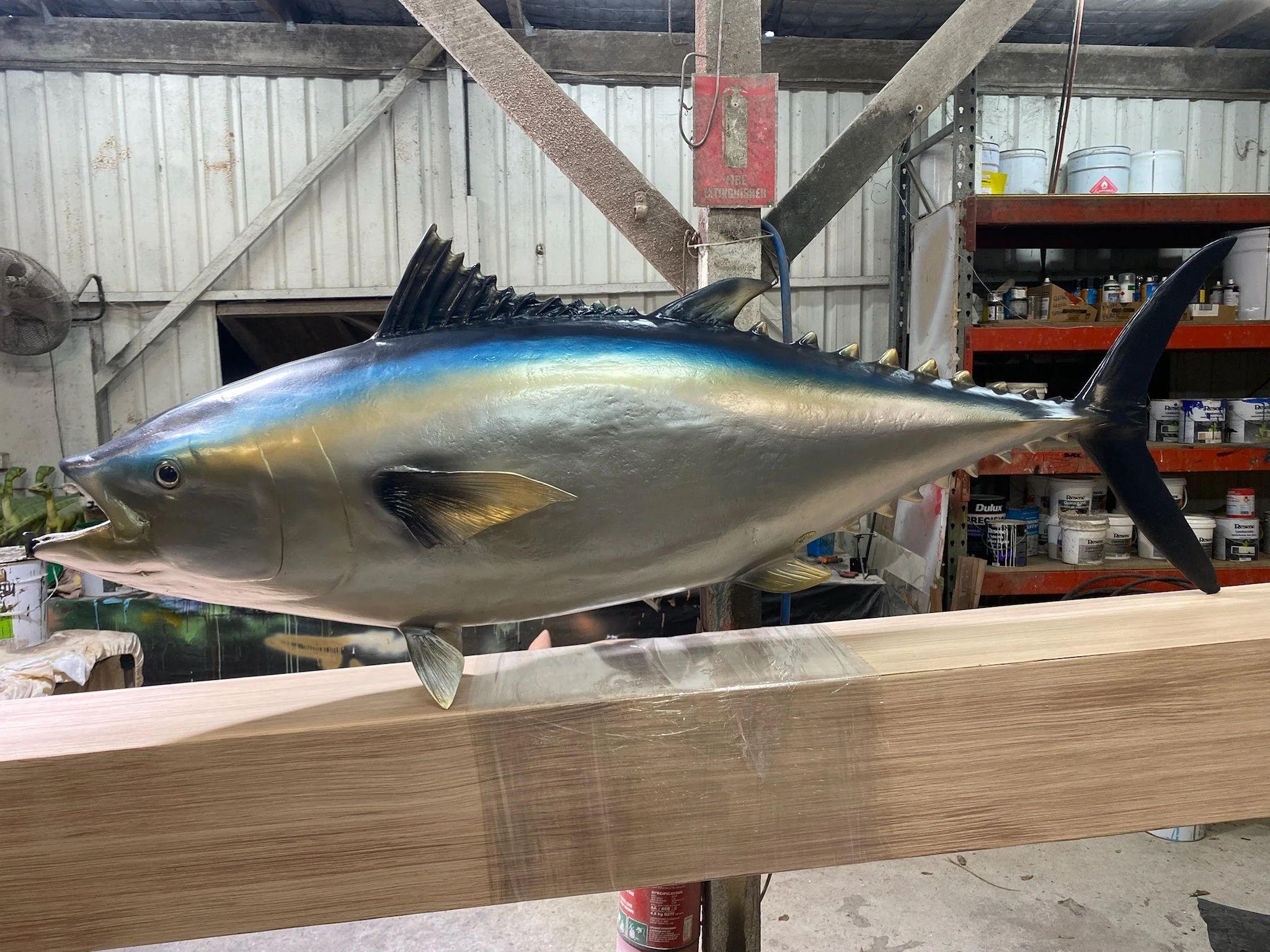 Tuna painted by Matt Smidt at Natureworks Australia