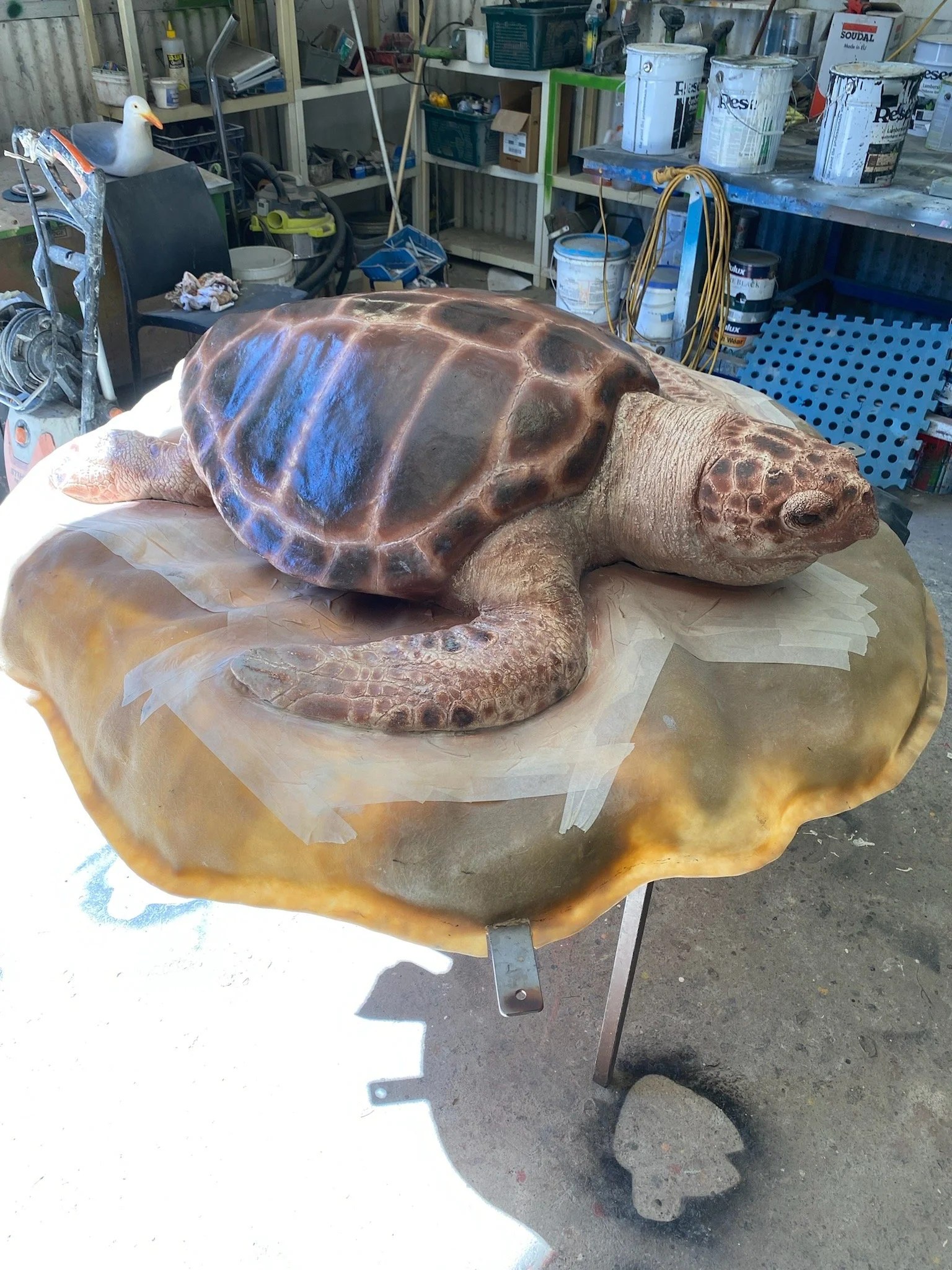 Turtle painted by Matt Smidt at Natureworks Australia