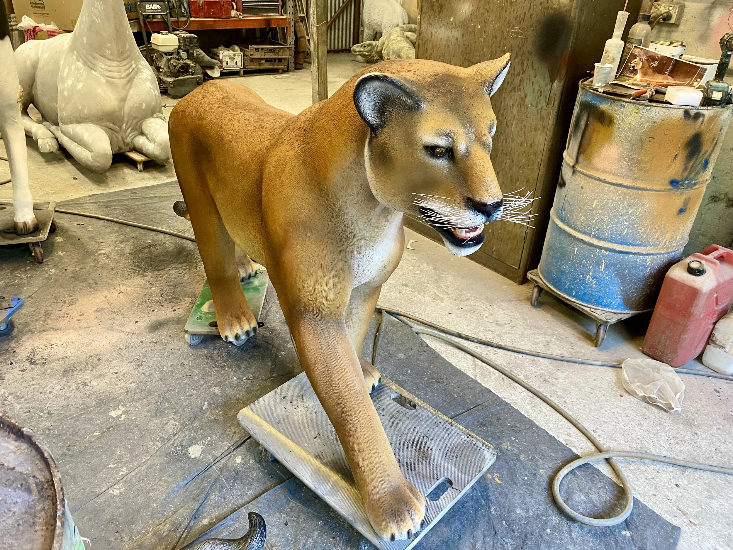 Lion painted by Matt Smidt at Natureworks Australia
