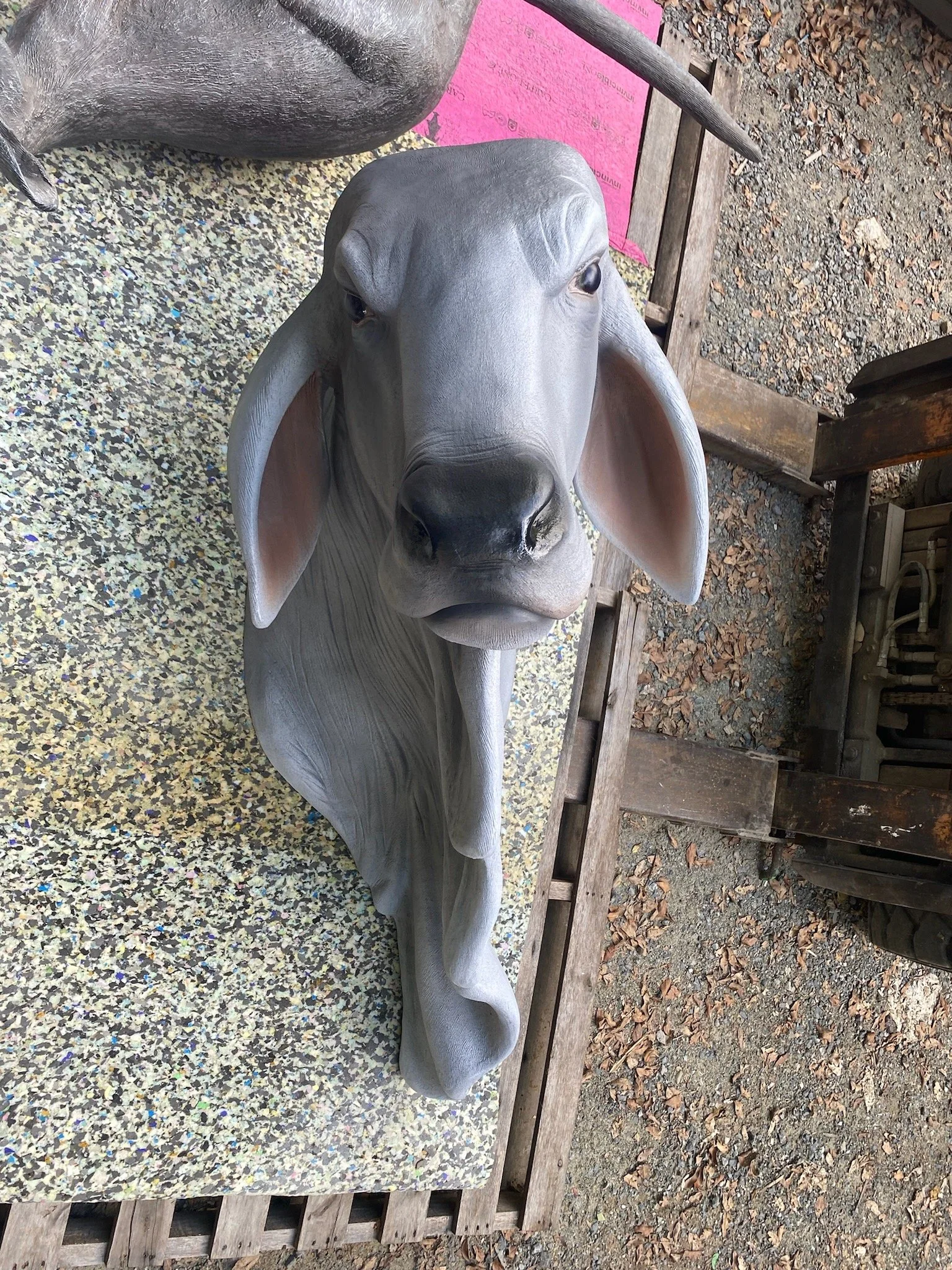 Cow head painted by Matt Smidt at Natureworks Australia