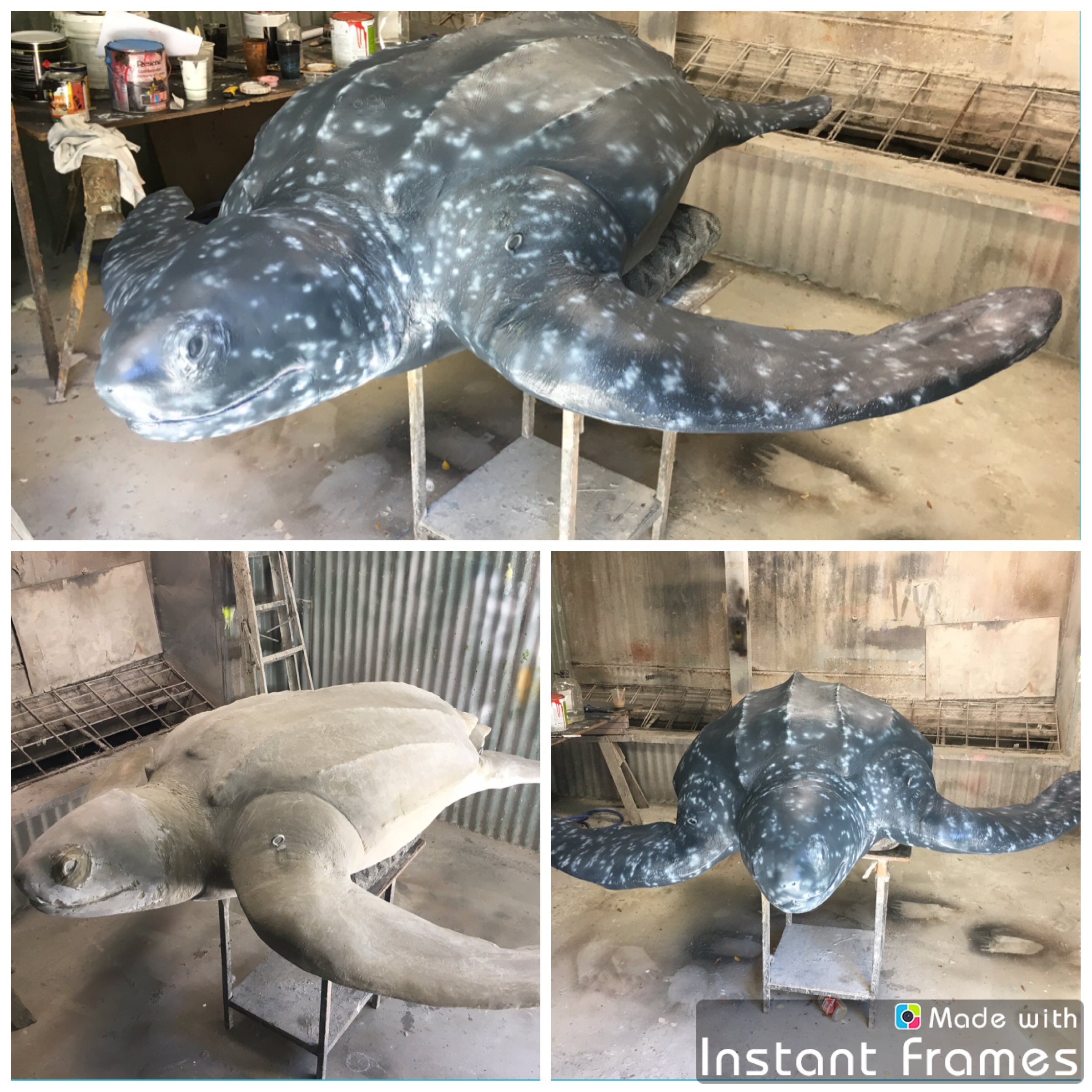 Turtle painted by Matt Smidt at Natureworks Australia