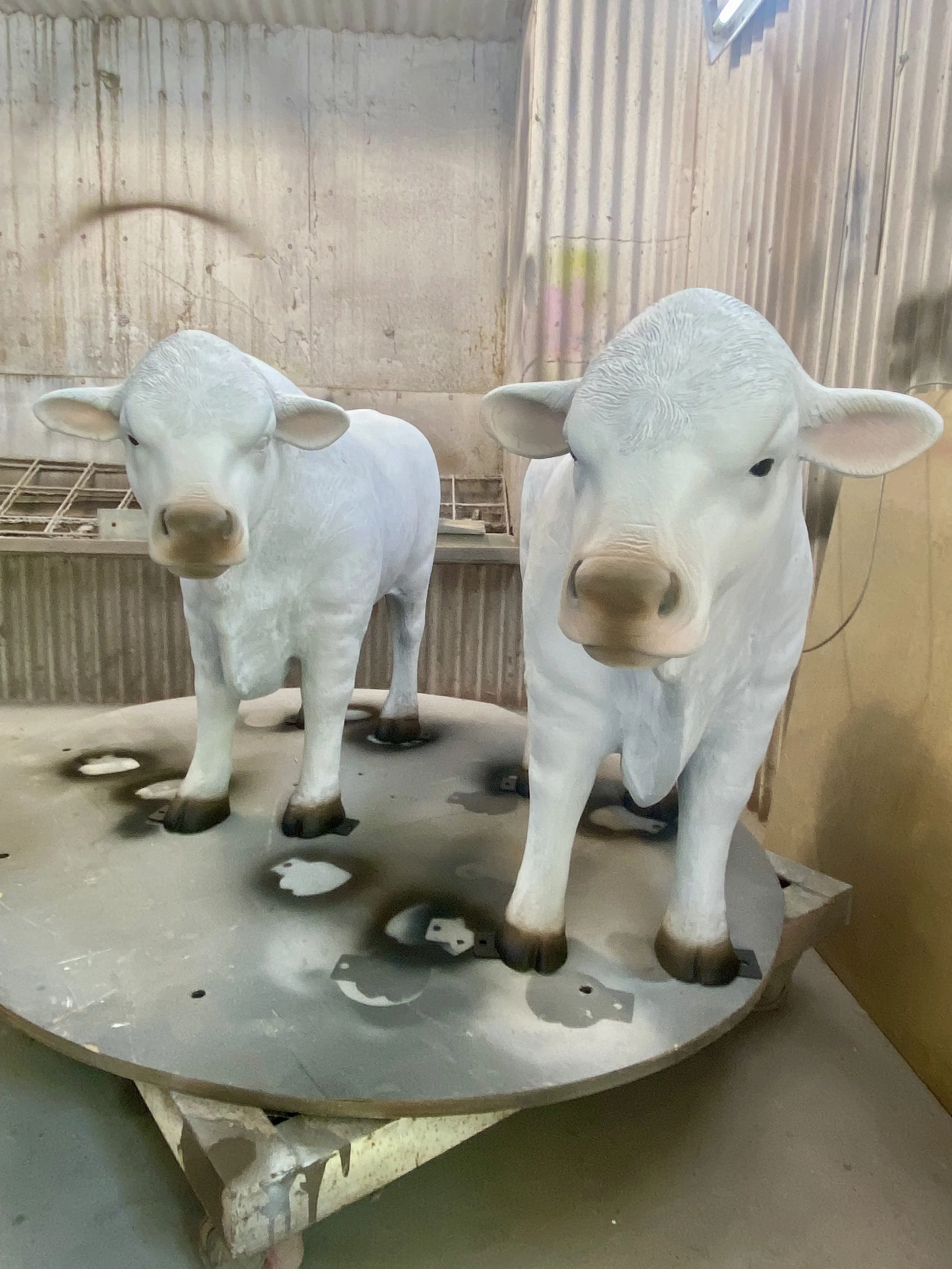White calfs painted by Matt Smidt at Natureworks Australia