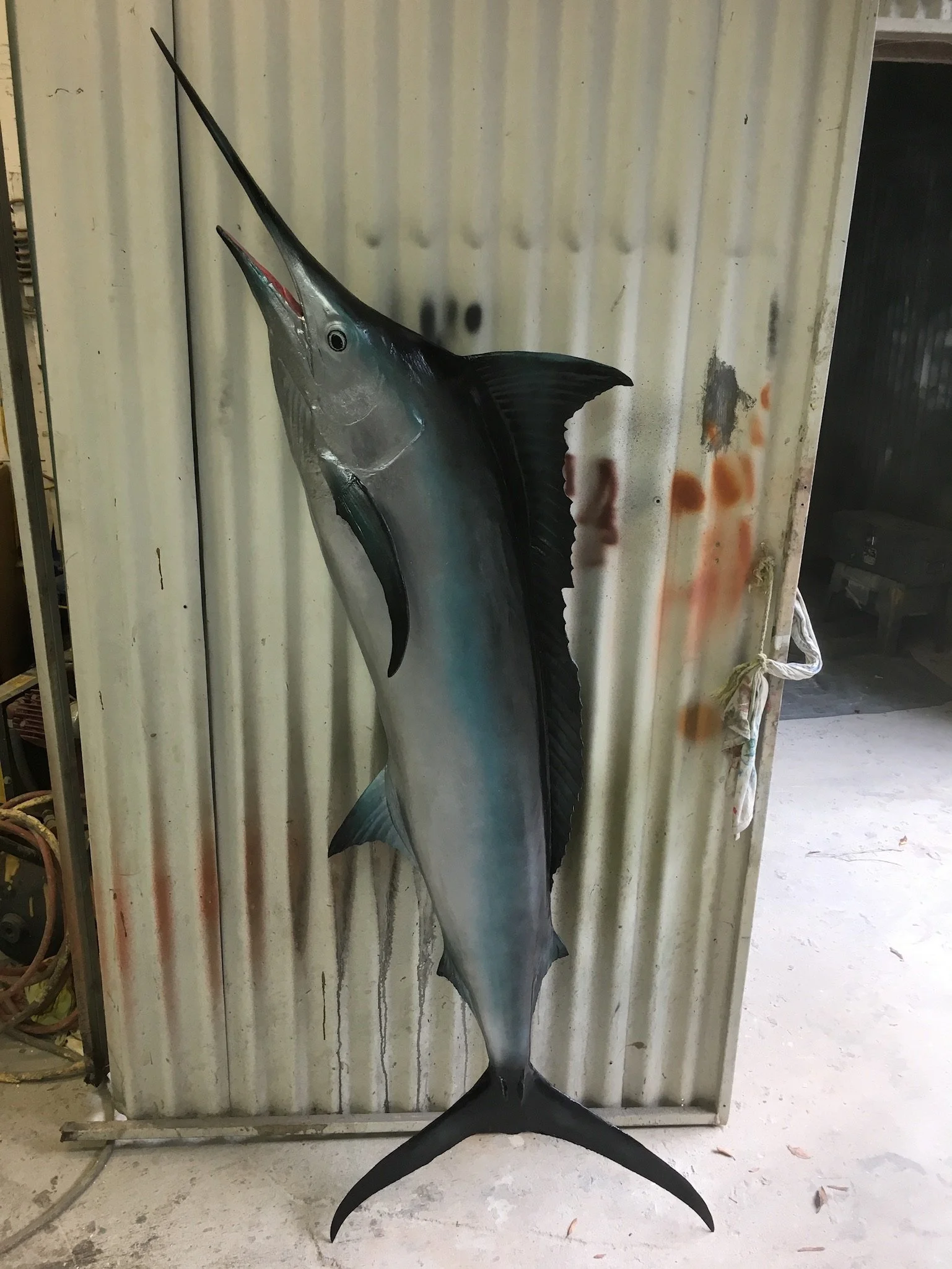 Swordfish painted by Matt Smidt at Natureworks Australia