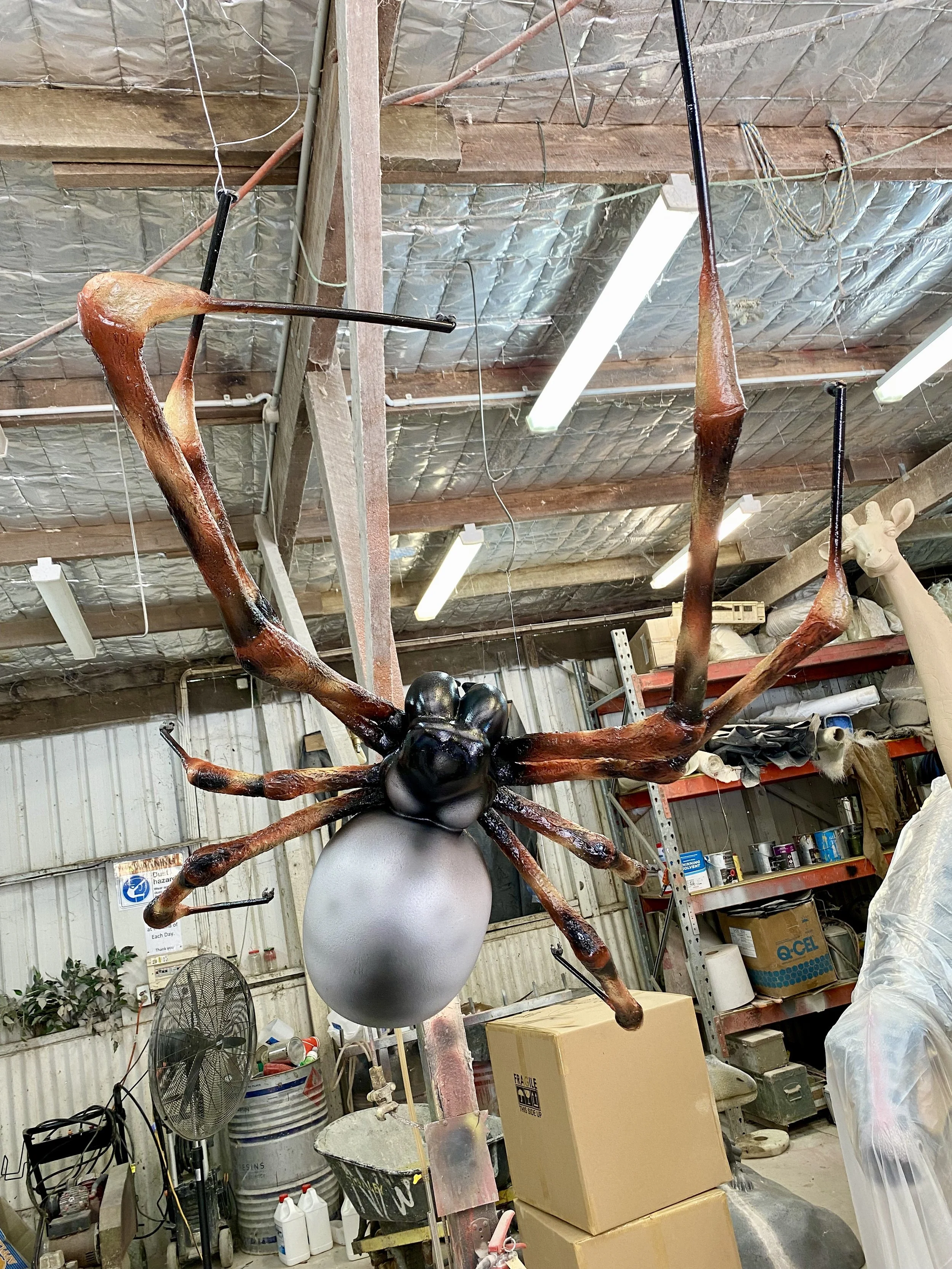 Spider painted by Matt Smidt at Natureworks Australia