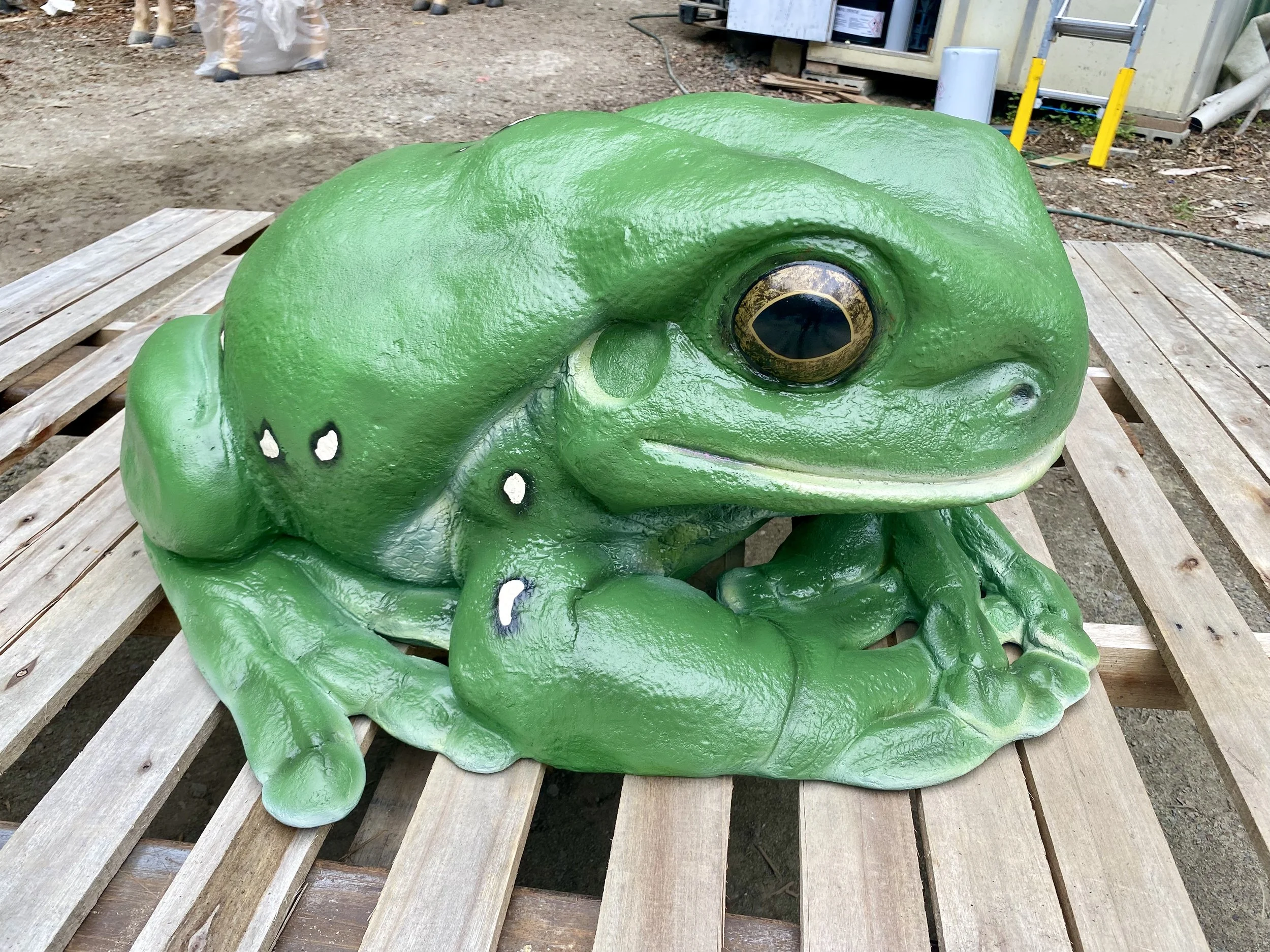 Green  Frog painted by Matt Smidt at Natureworks Australia