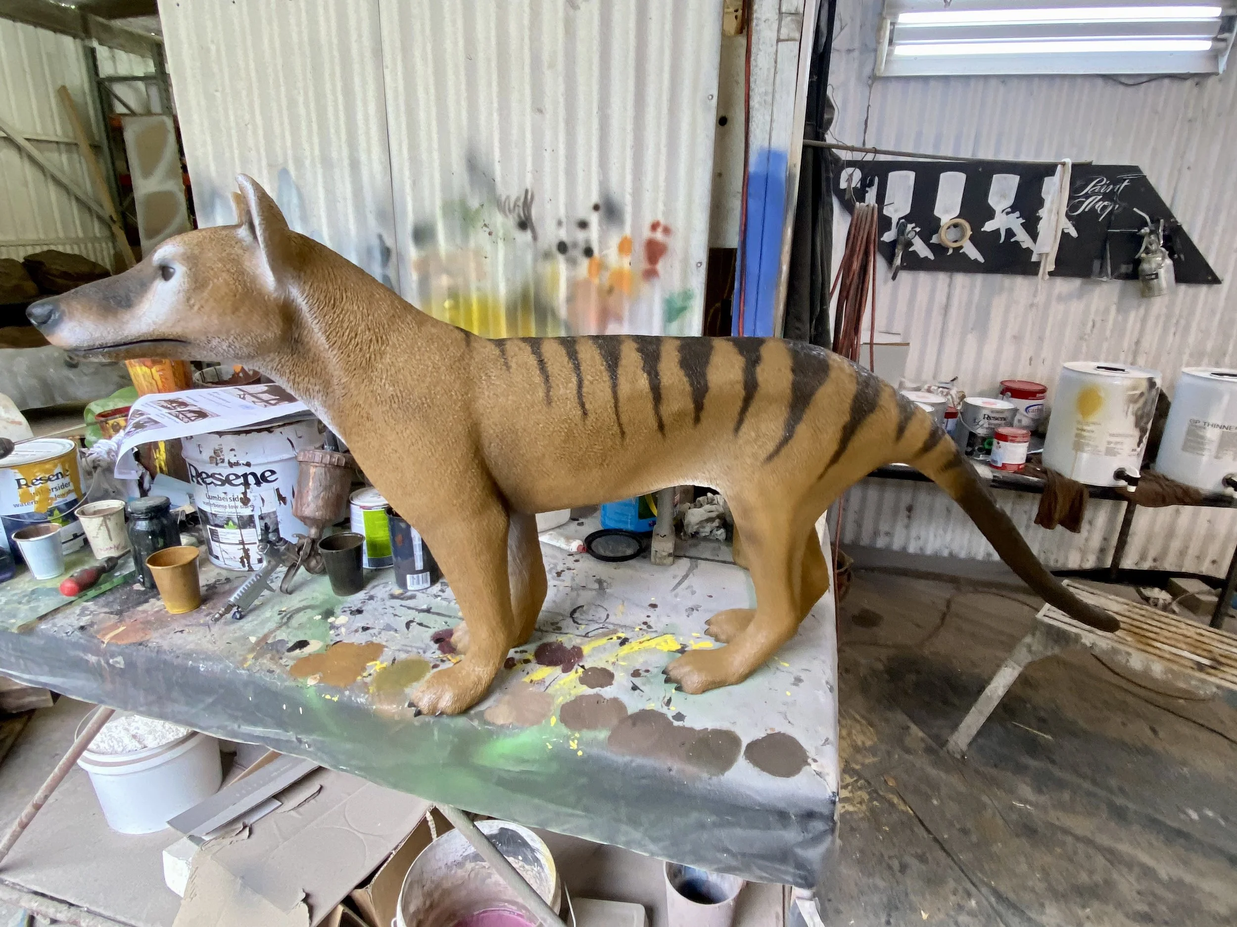 Tasmanian Devil painted by Matt Smidt at Natureworks Australia