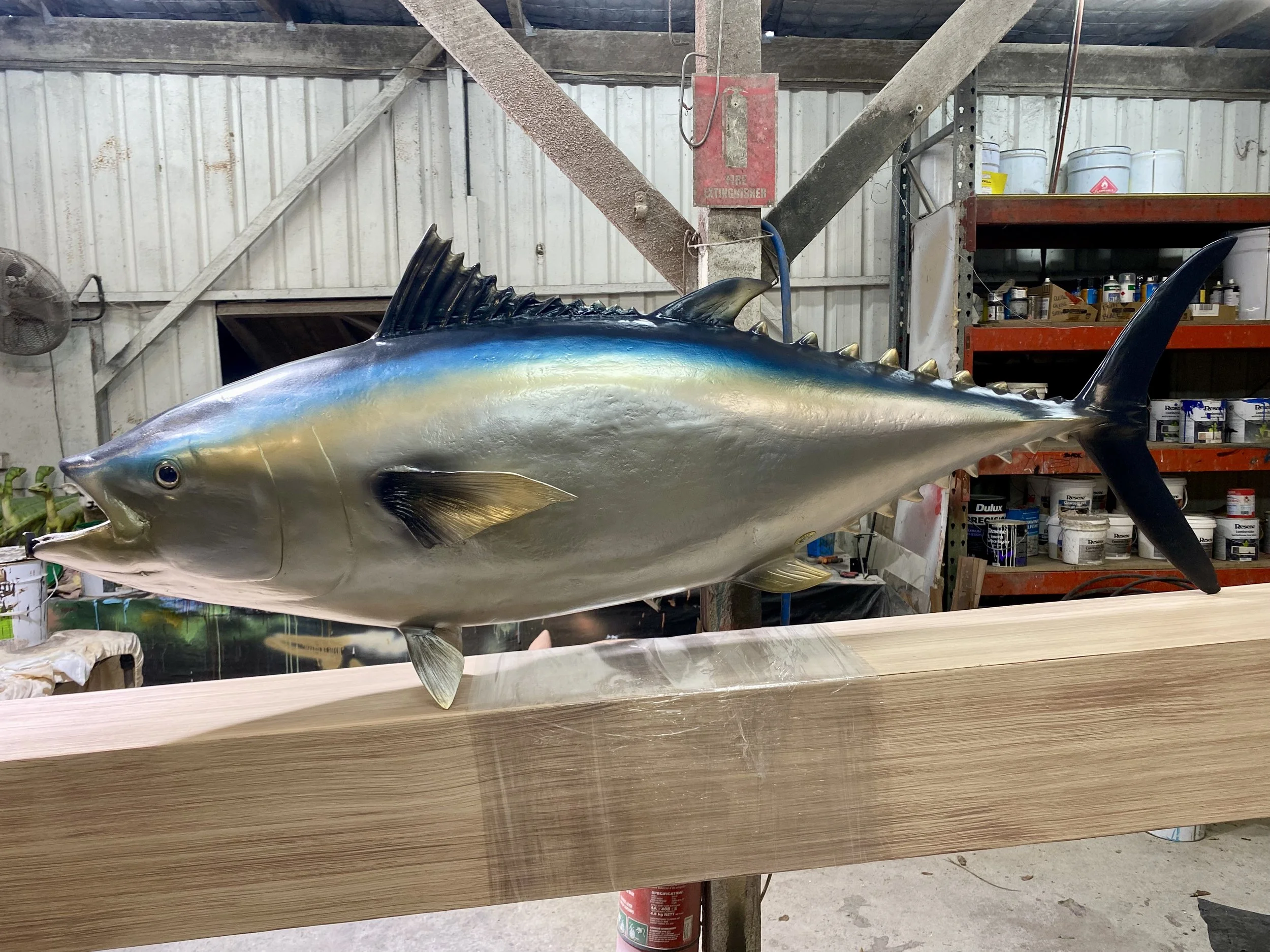 Tuna painted by Matt Smidt at Natureworks Australia