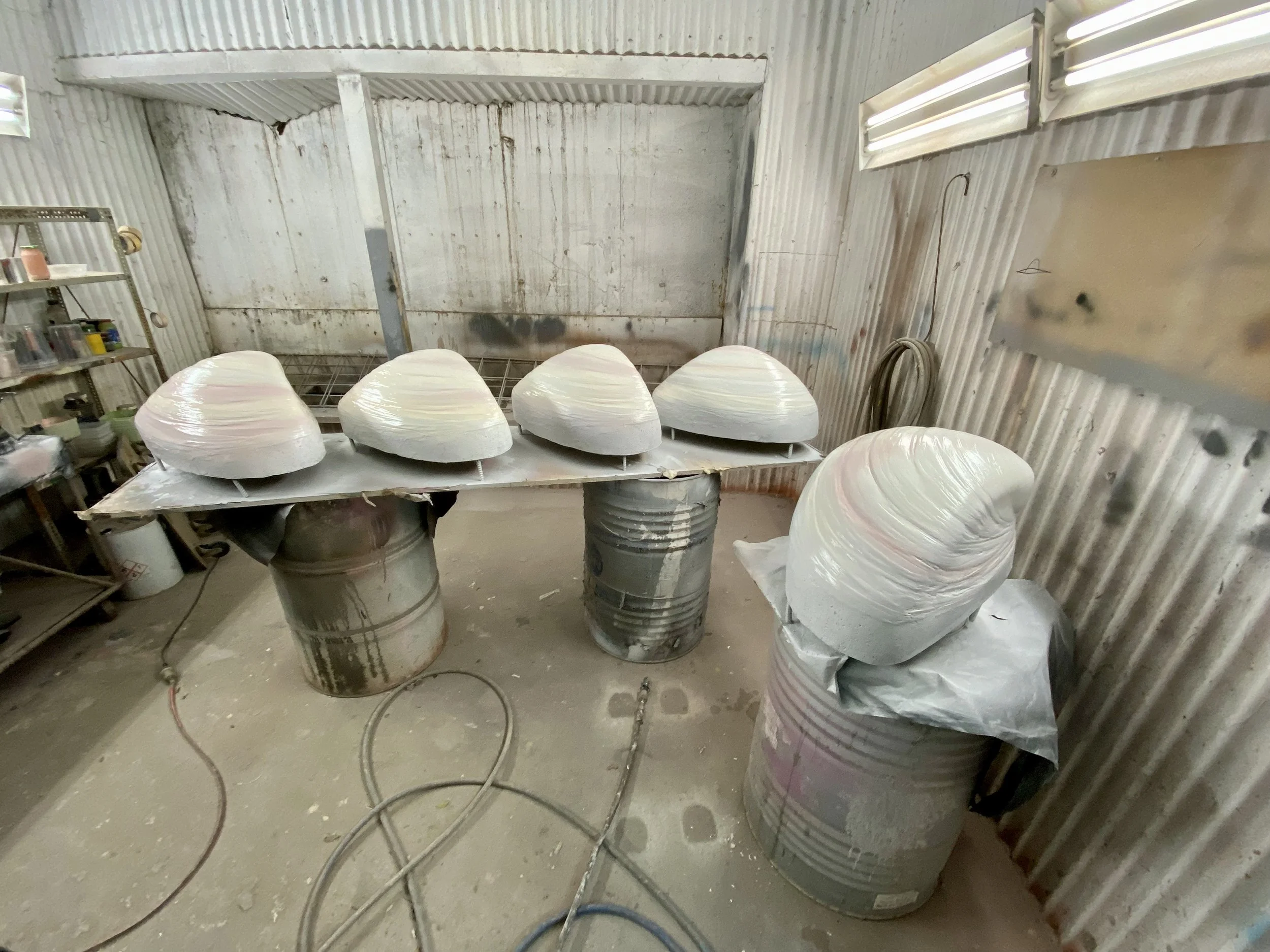 Shells painted by Matt Smidt at Natureworks Australia