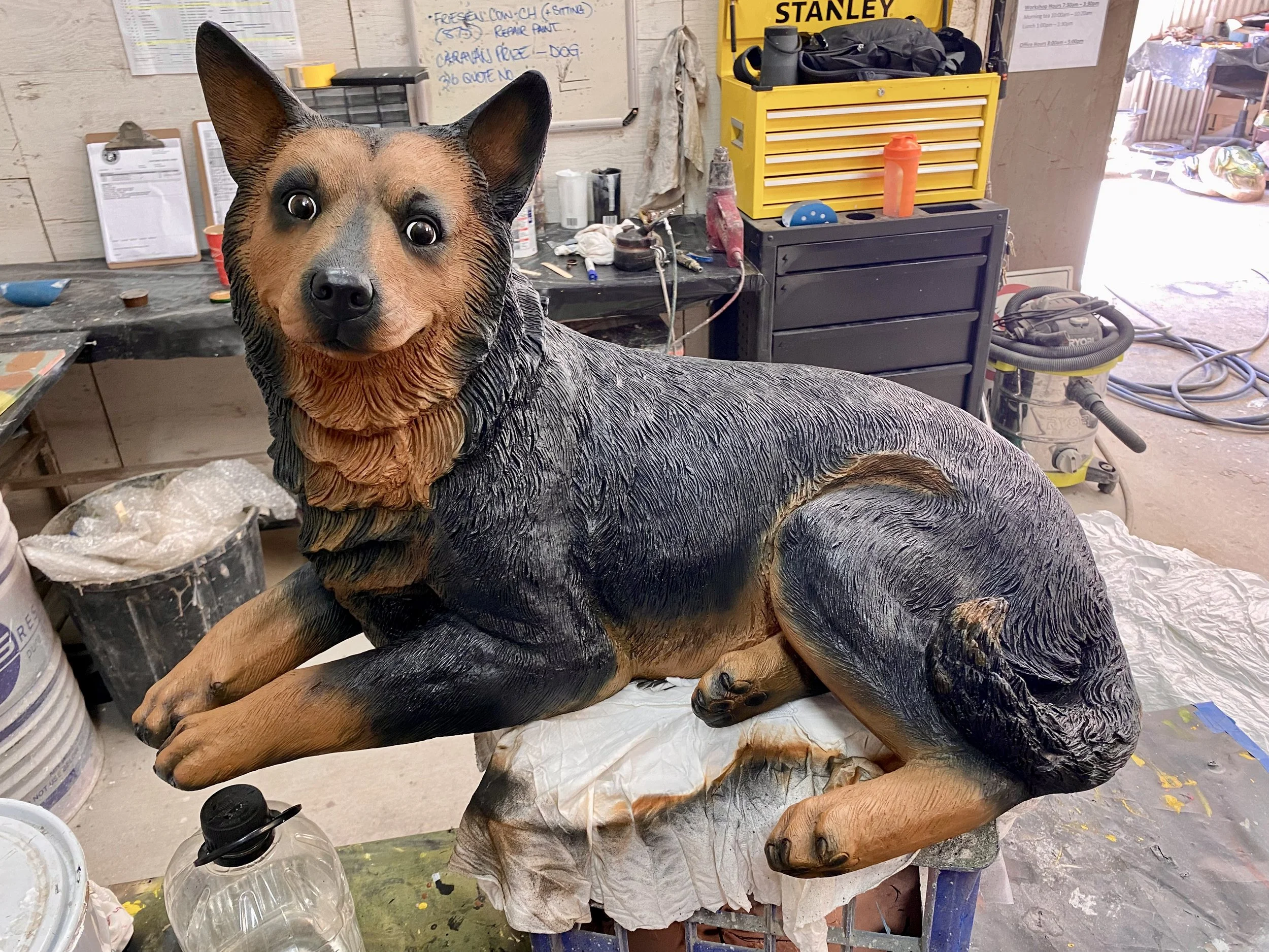 Cattle Dog painted by Matt Smidt at Natureworks Australia