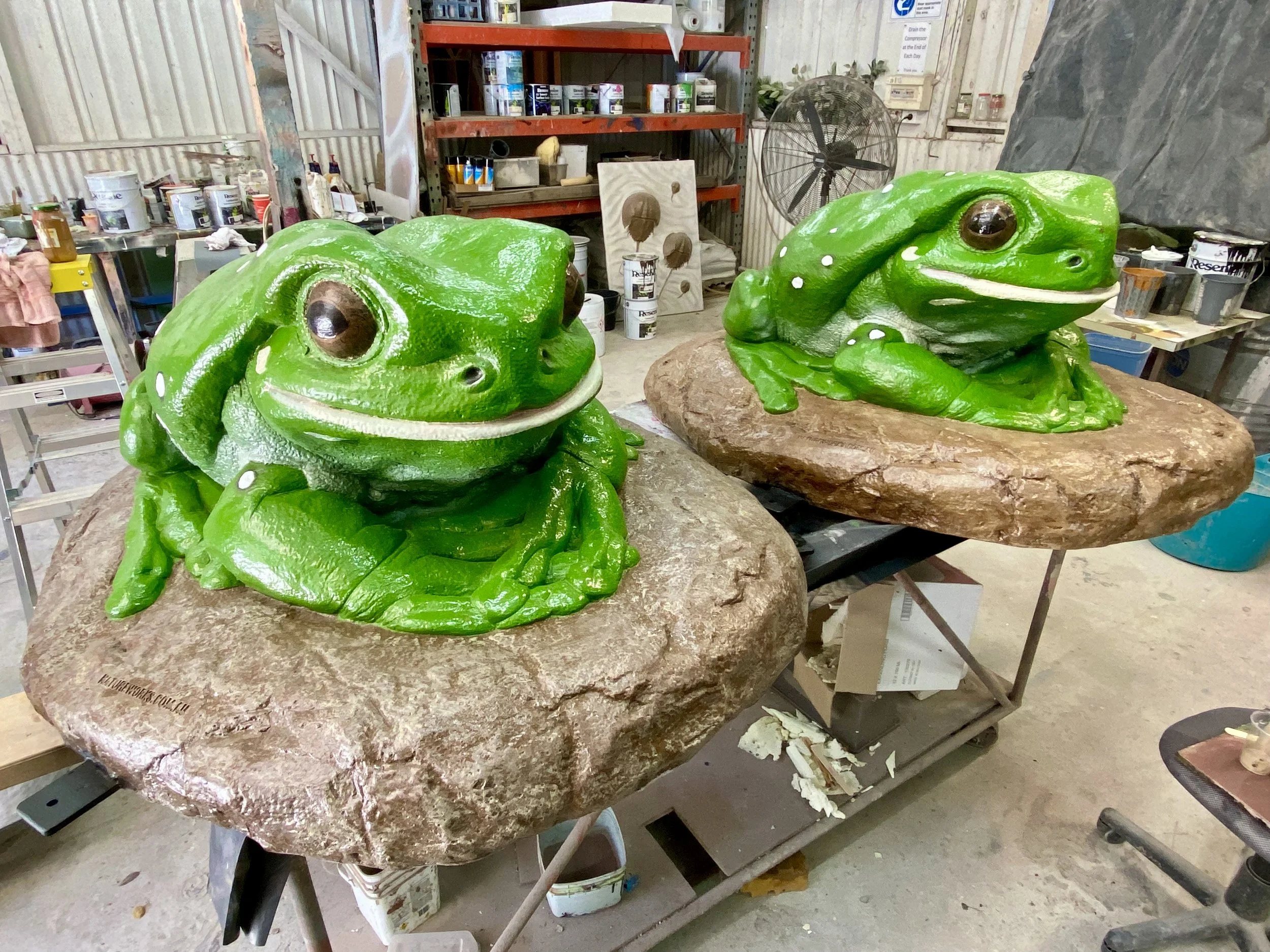 Green Frogs painted by Matt Smidt at Natureworks Australia