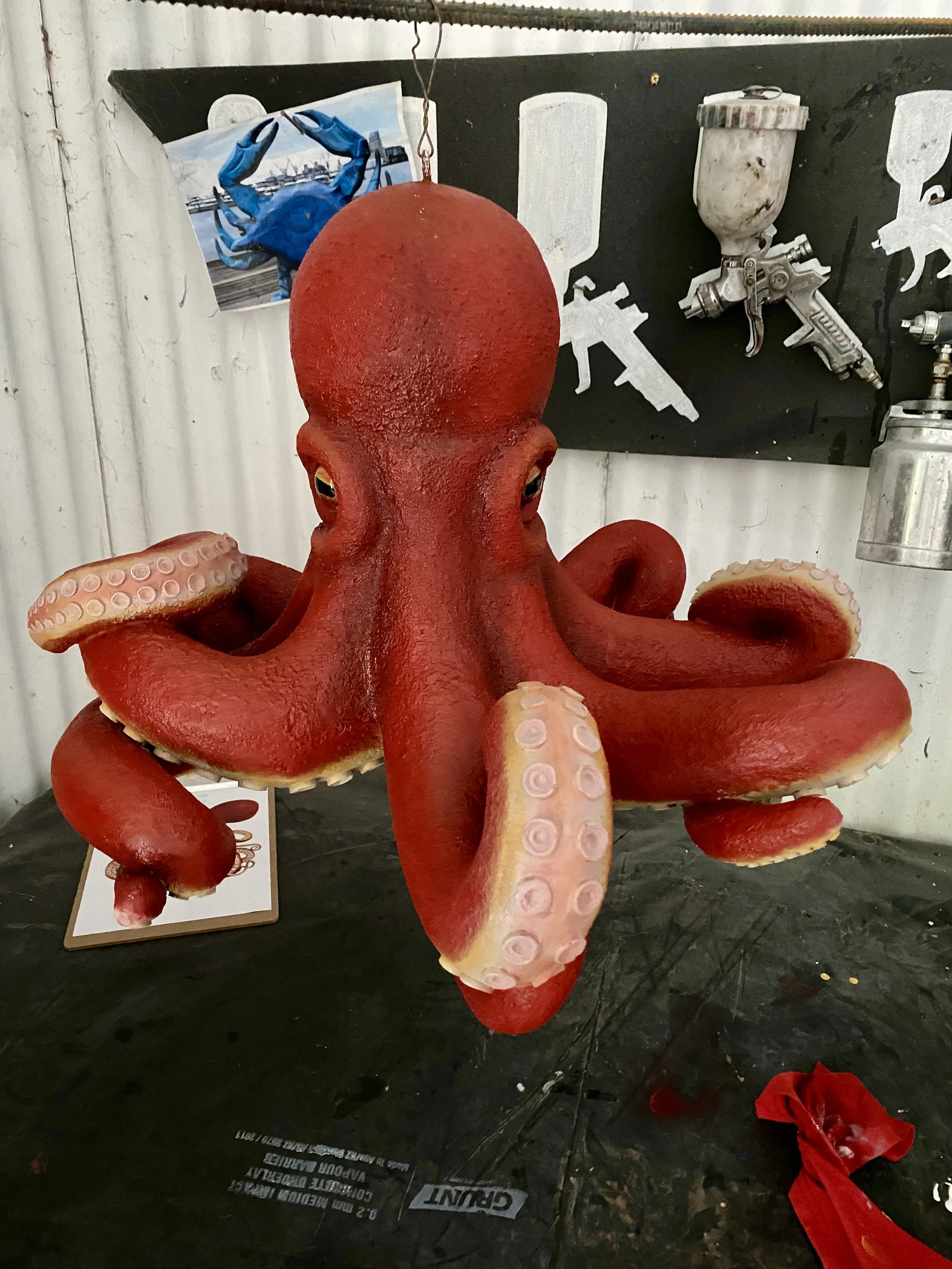 Octopus painted by Matt Smidt at Natureworks Australia