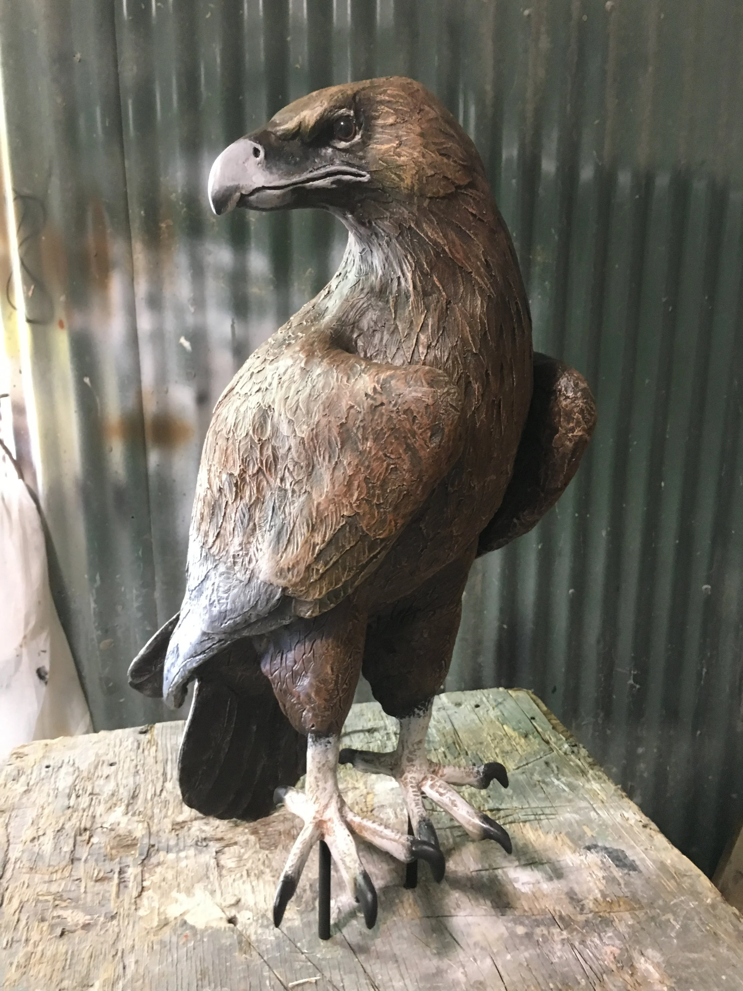 Eagle painted by Matt Smidt at Natureworks Australia