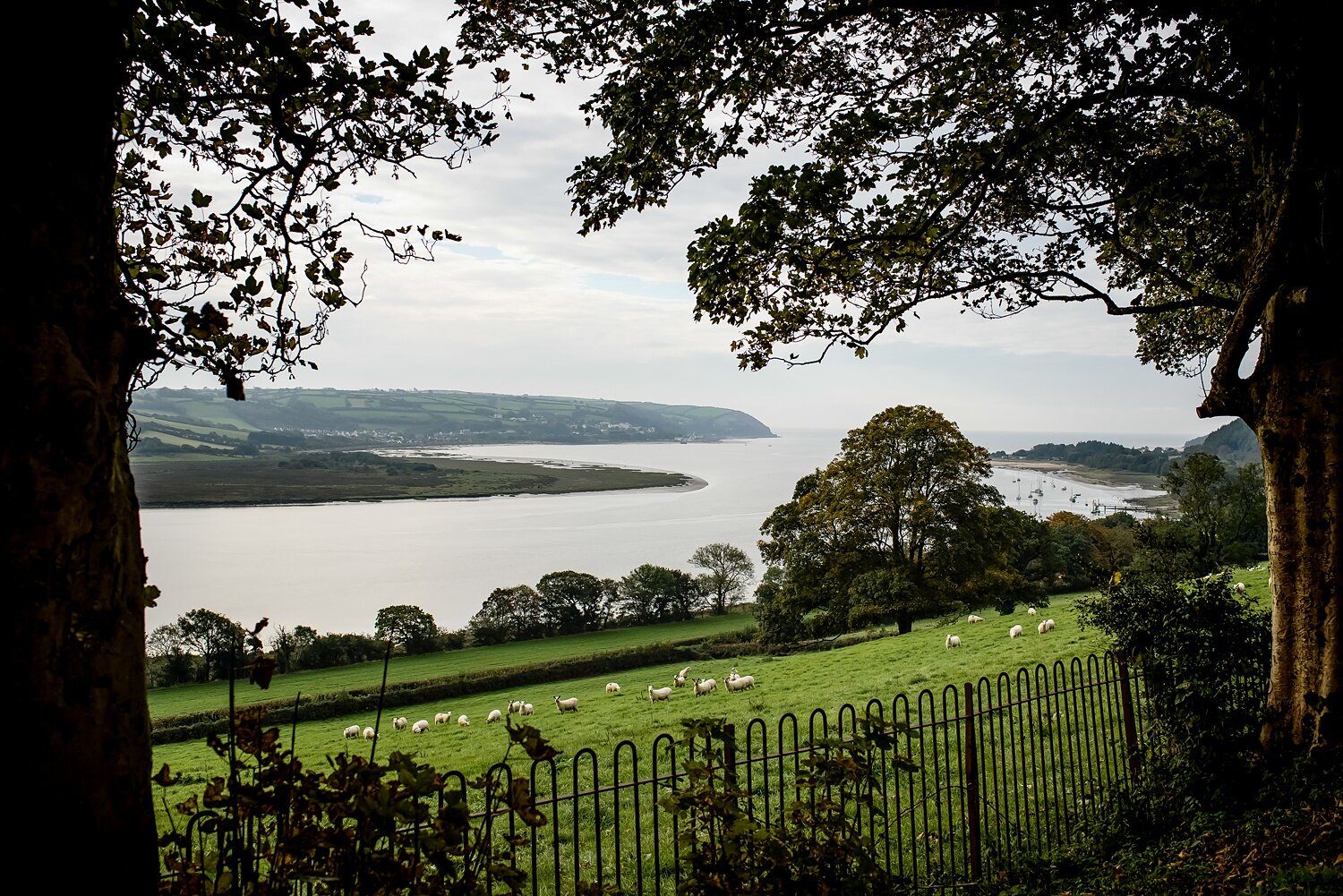 Tywi estuary from Mansion House Llansteffan 