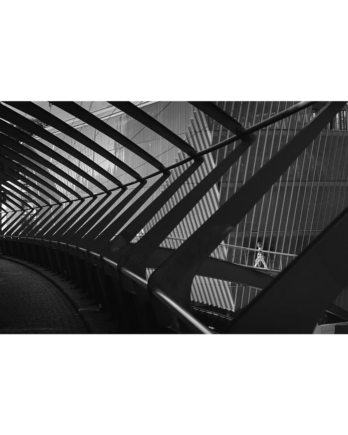 framed &middot; 🇨🇭
.
.
.
#zurich #switzerland #spicollective #swissstreetcollective #rawbnw #SPi_Shadows #SPi_Light #citybnw #streetphotographybnw #bnwstreetphotography #bnw_lightandshadow #bnwminimalism #bnw_and_noir #bnw_features #vision_bnw #mom