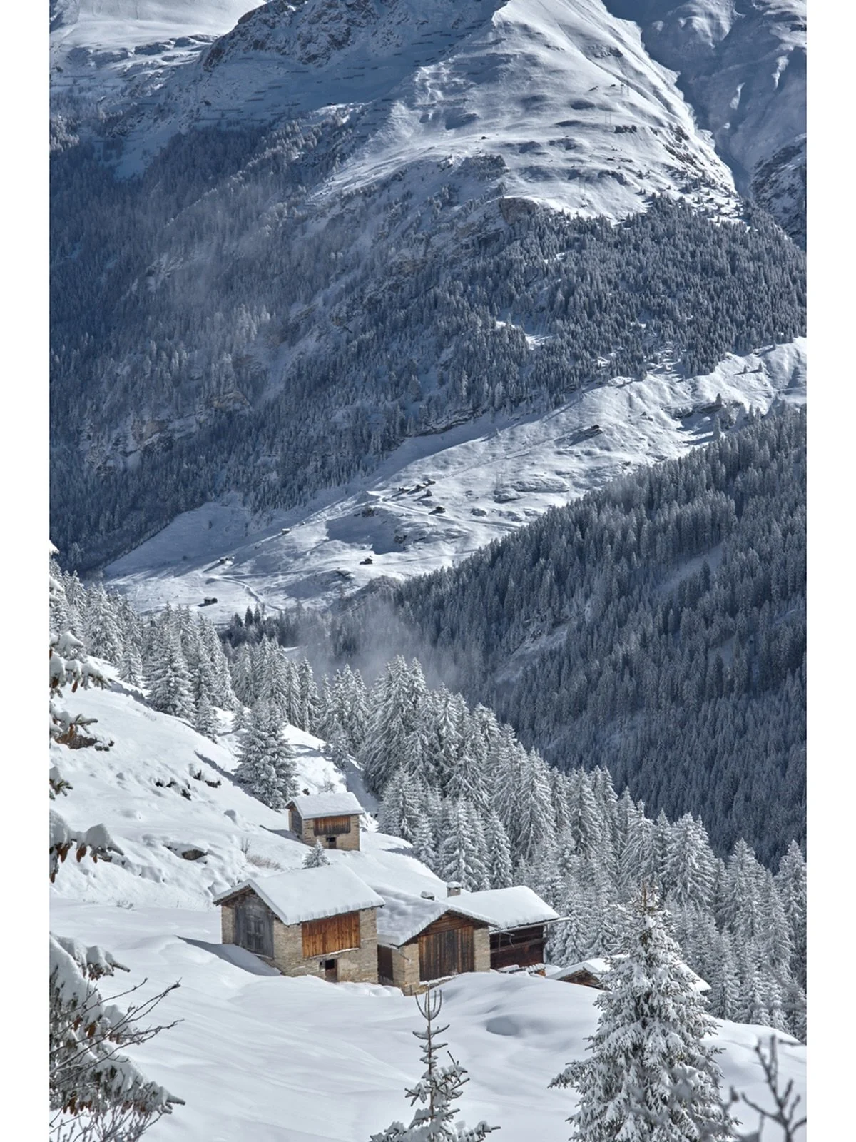 buried
.
.
.
#alps
#switzerland
#winterlandscape
#contemporaryphotography
#MyLeicaFoto

@leica_camera_schweiz 
@leica_fotografie_international