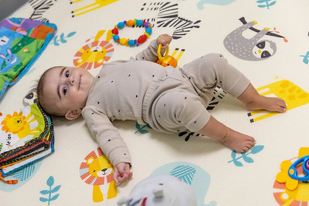 Banque d'images 2025-19.jpg