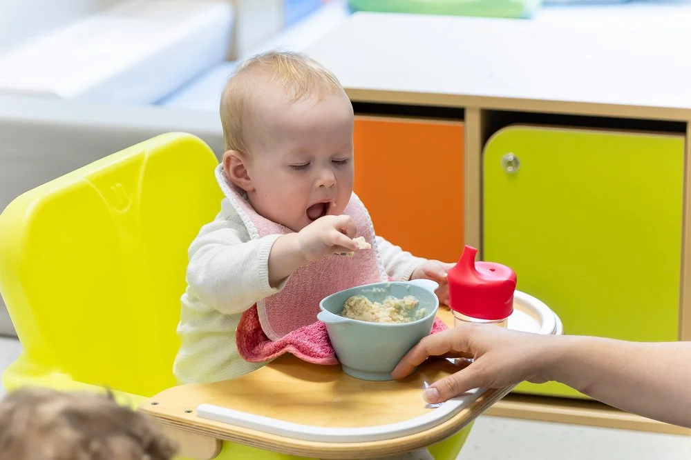 Banque d'images 2025-47.jpg