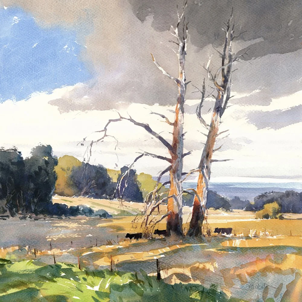 PST_Mike Kowalski_03.jpg