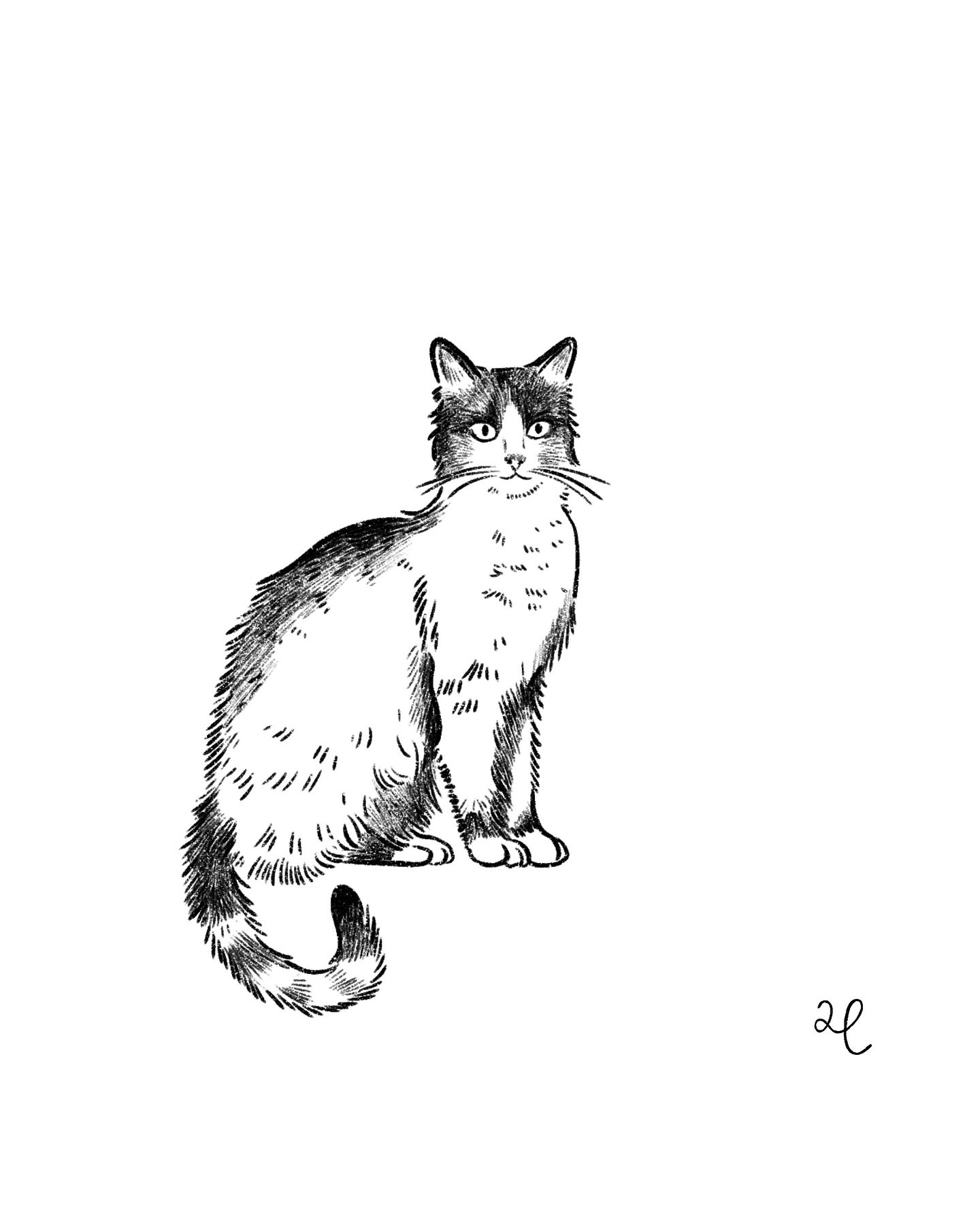 Happy International Cat Day 🐈 

I study these creatures - they are my teachers. -C.B