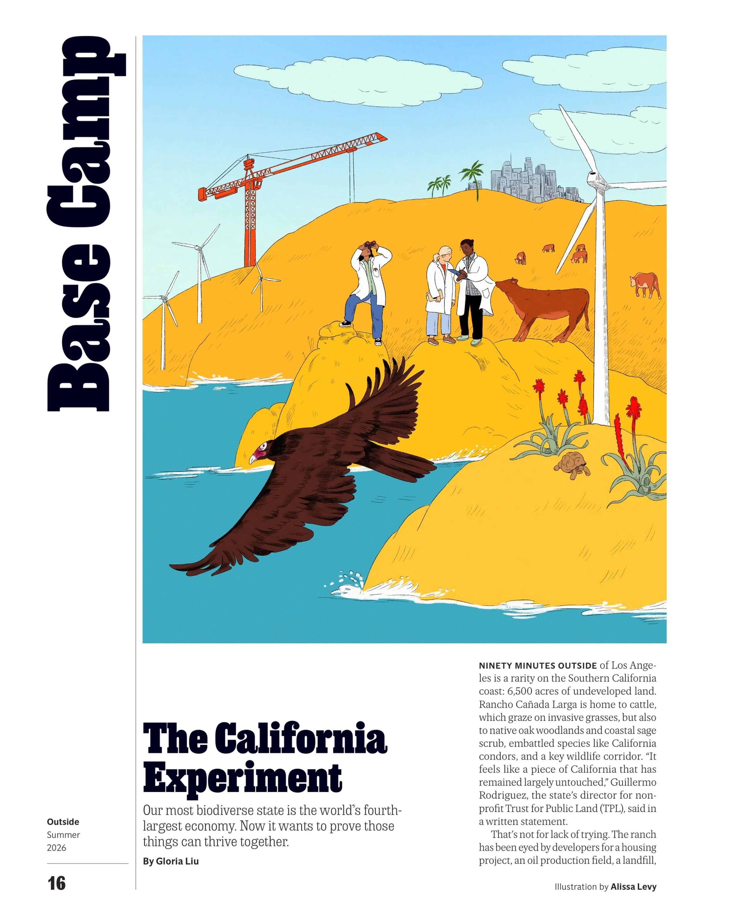 First one for @outsidemagazine for their Field Notes column. 

Thank you Drue, for the opportunity, it was a fun one 🐄