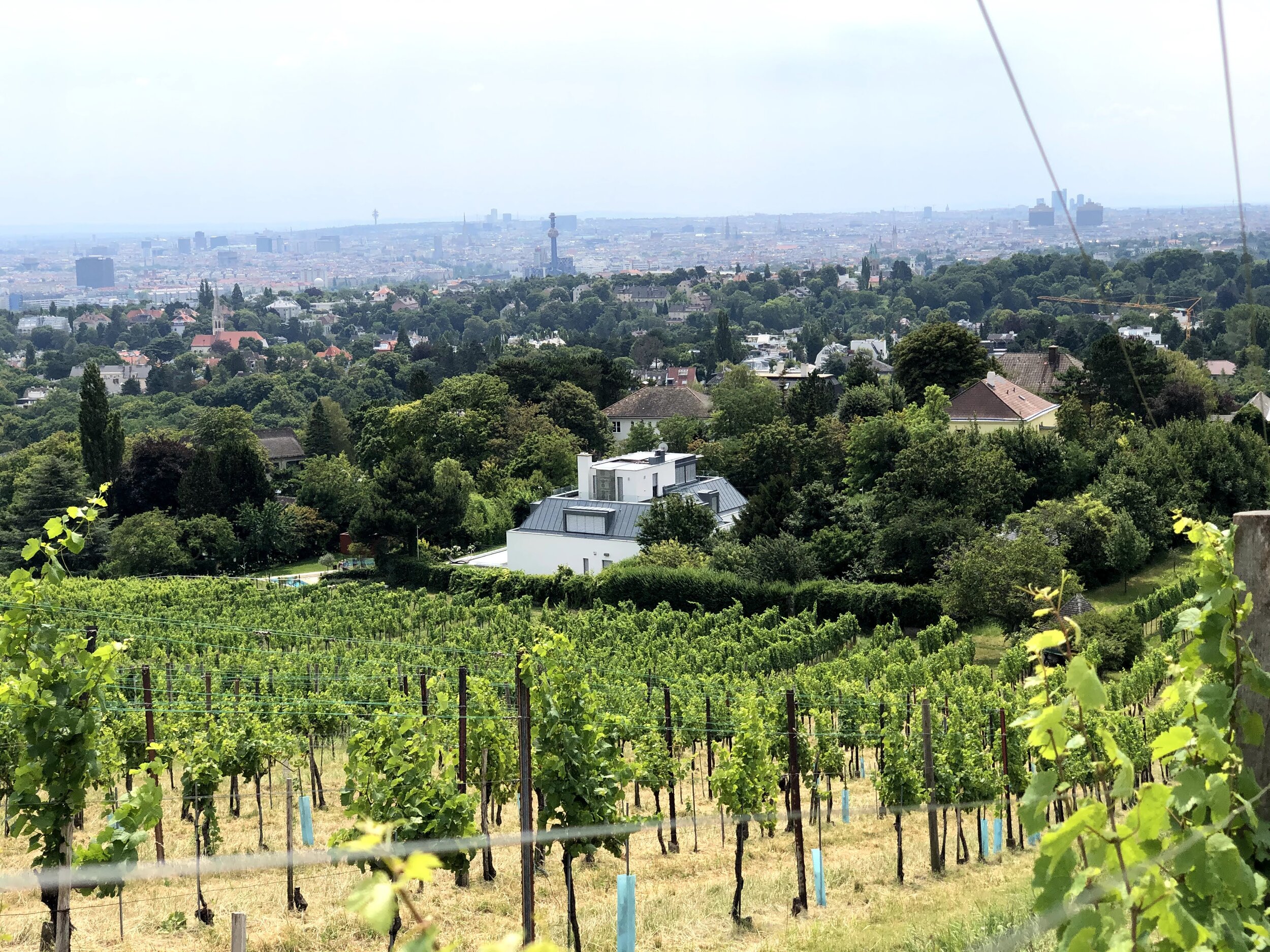 10 JAHRE WIEN