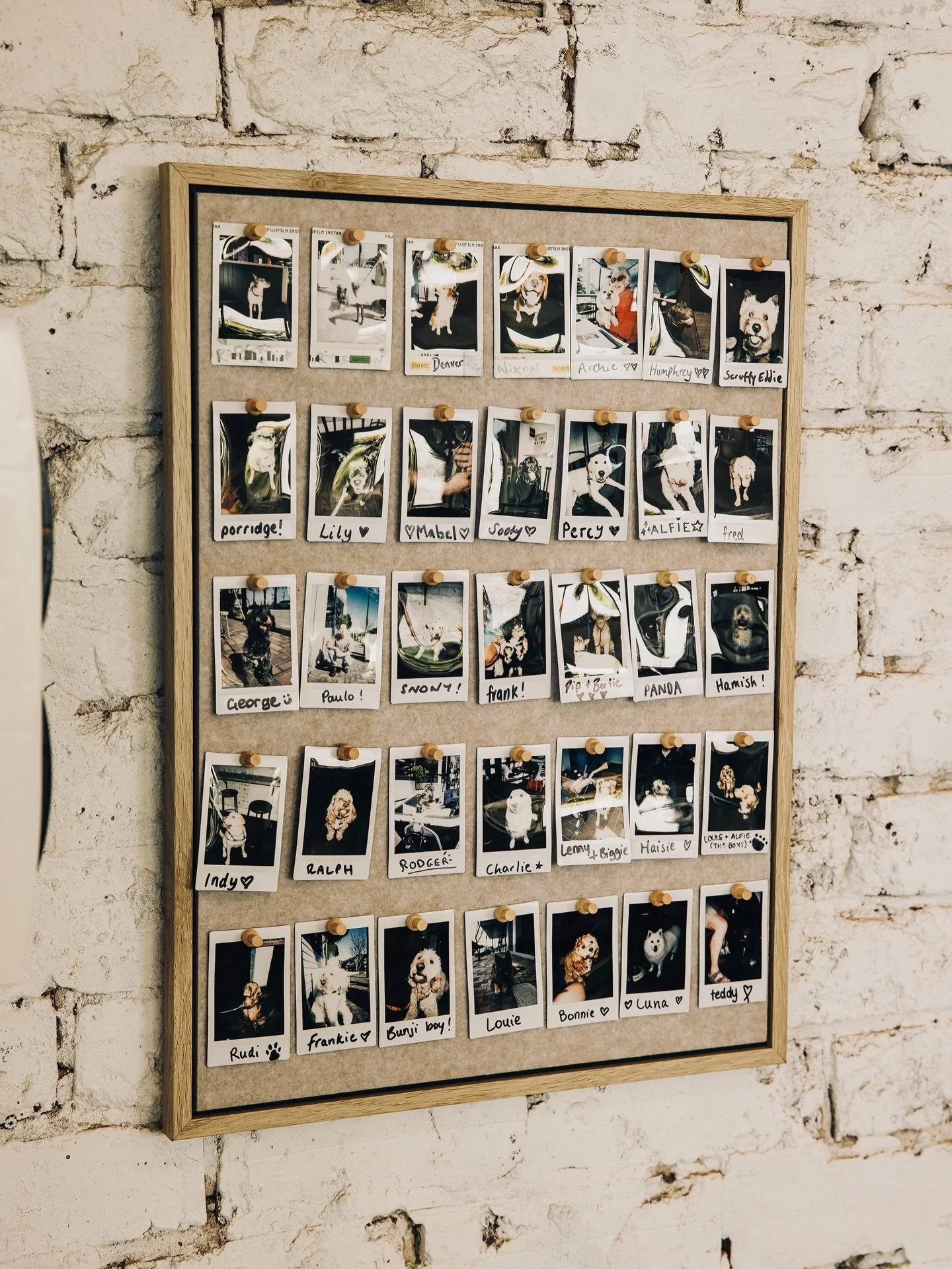 Our favourite regulars.

Proof that The Other Side is just as much theirs as it is yours.
Familiar faces, wagging tails, and a spot on the wall to match.

If your pup isn&rsquo;t up yet, we&rsquo;re always watching 👀🐾